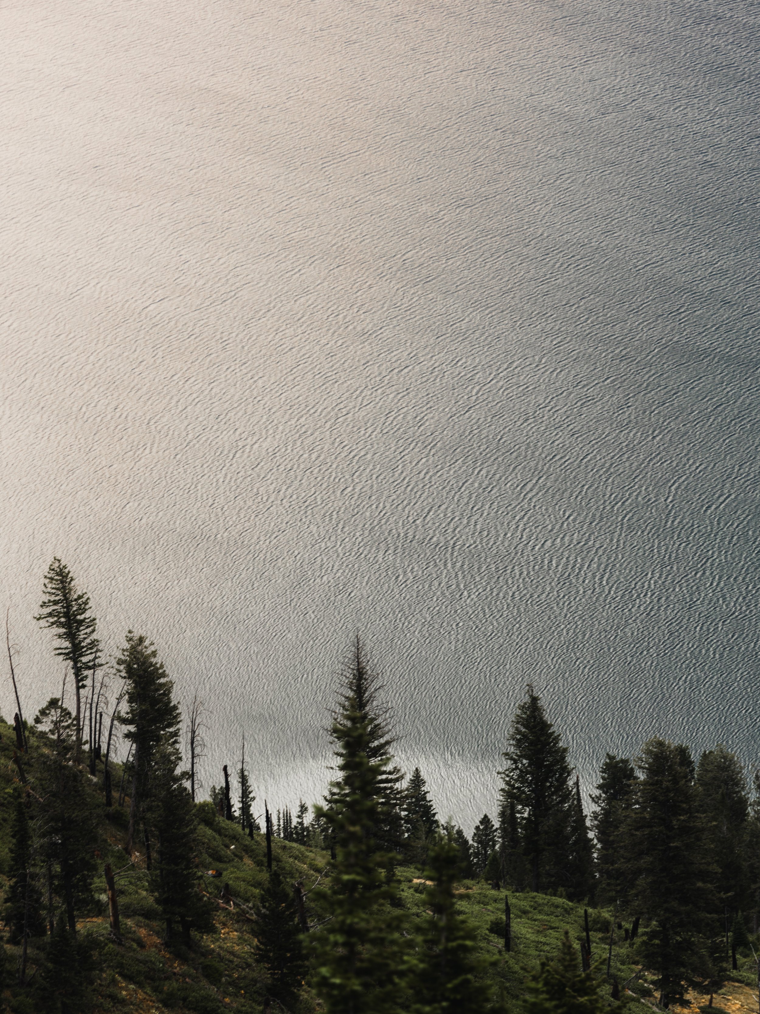 _L3N4516.JPG