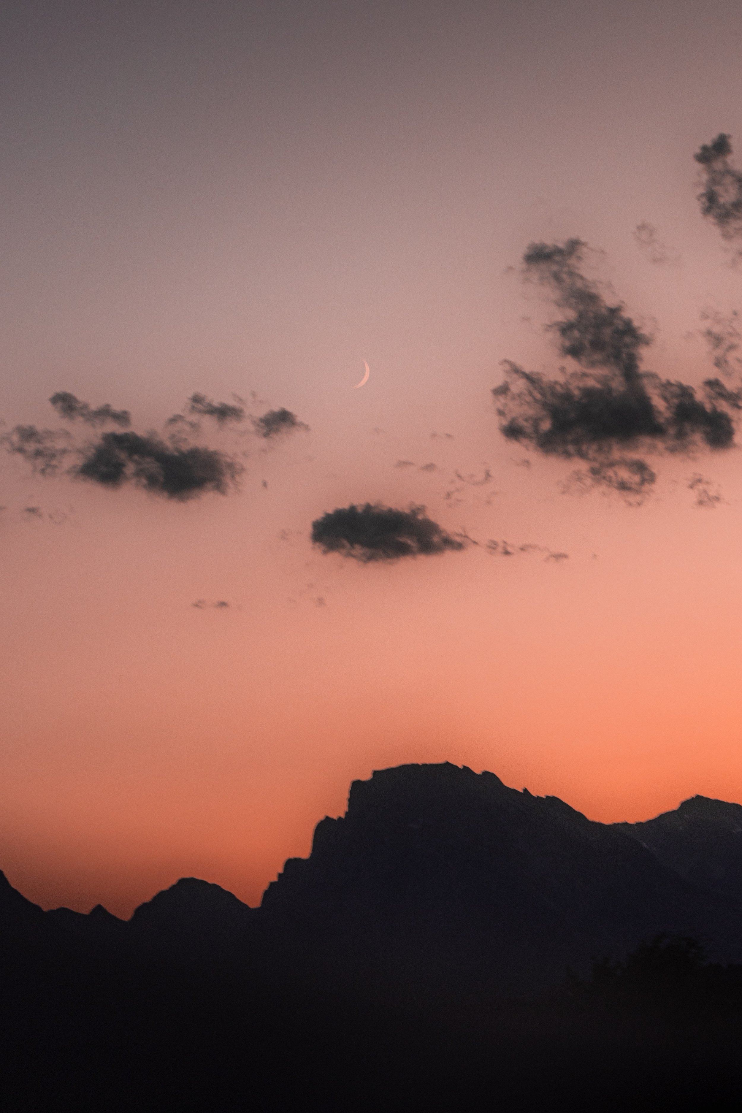 _L3N4529.JPG