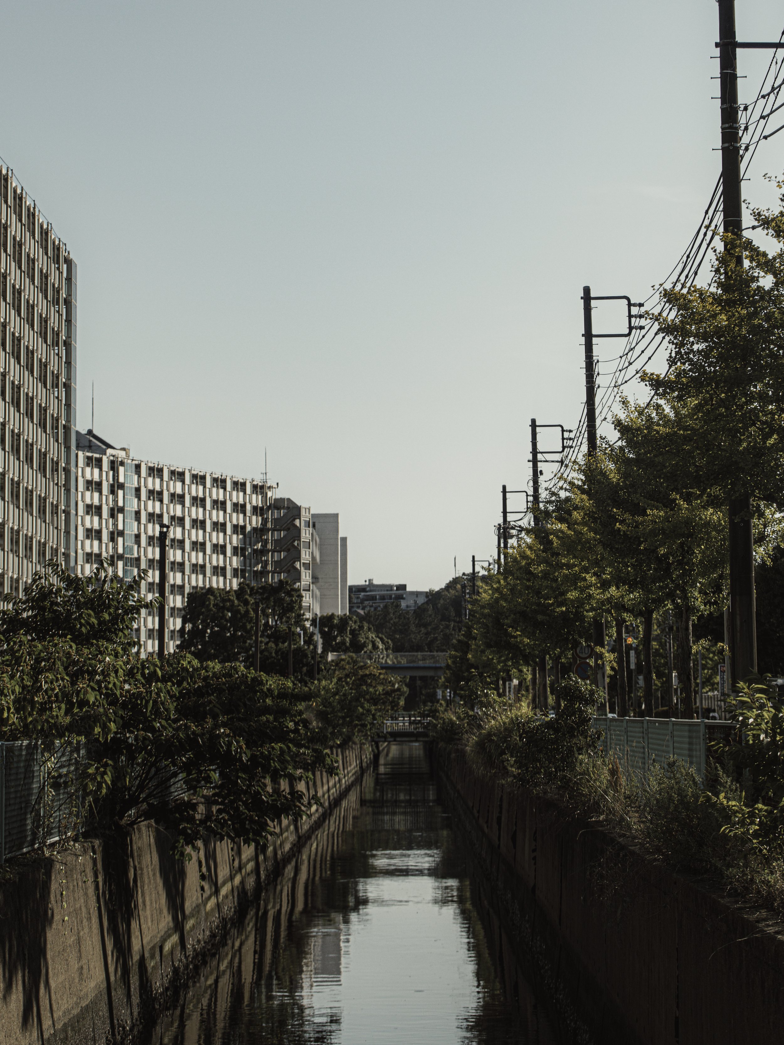 591A9479.JPG