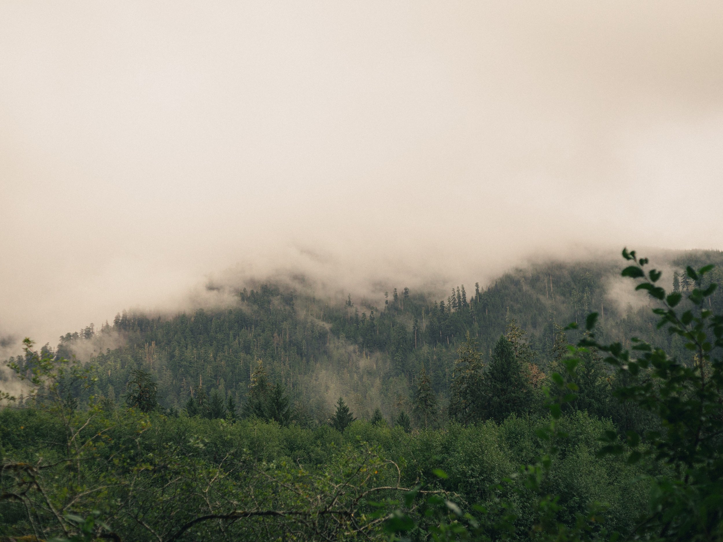 _L3N9601.JPG