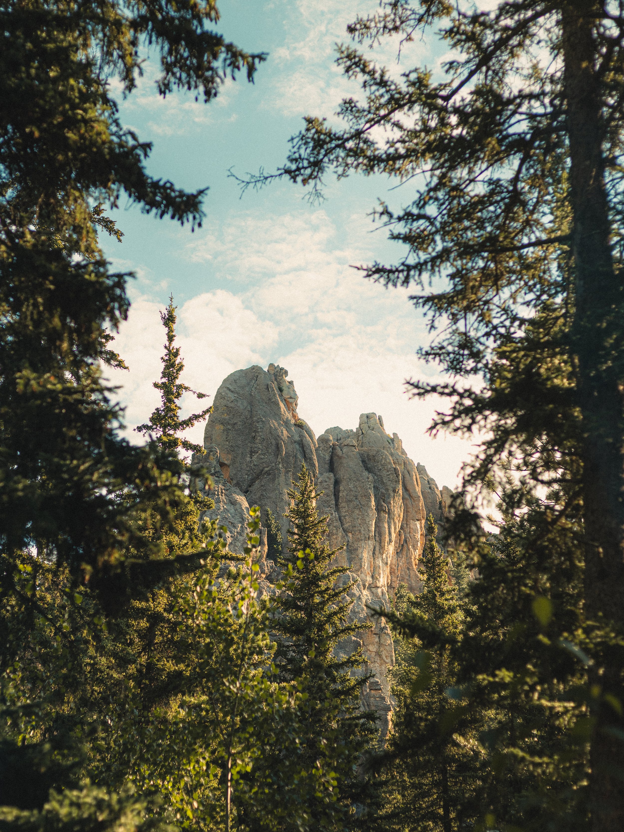 _L3N9351.JPG