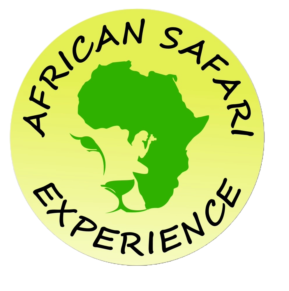 African Safari Experience company logo.