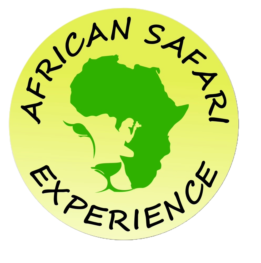 African Safari Experience company logo.