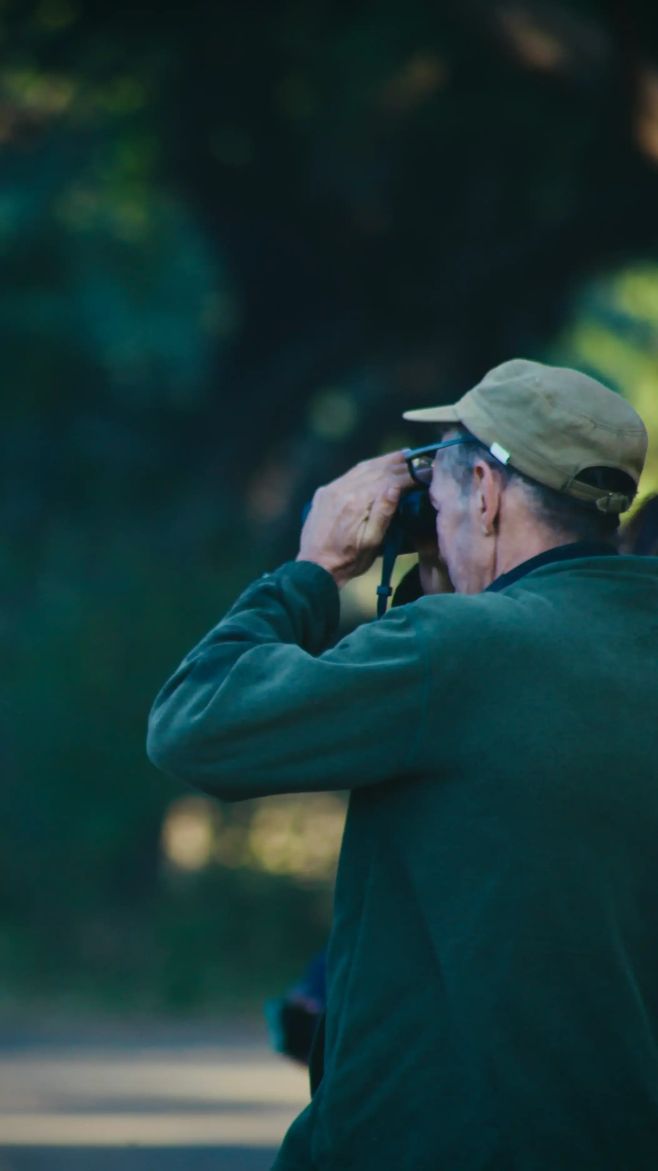 birding-safari-african-safari-experience.webp