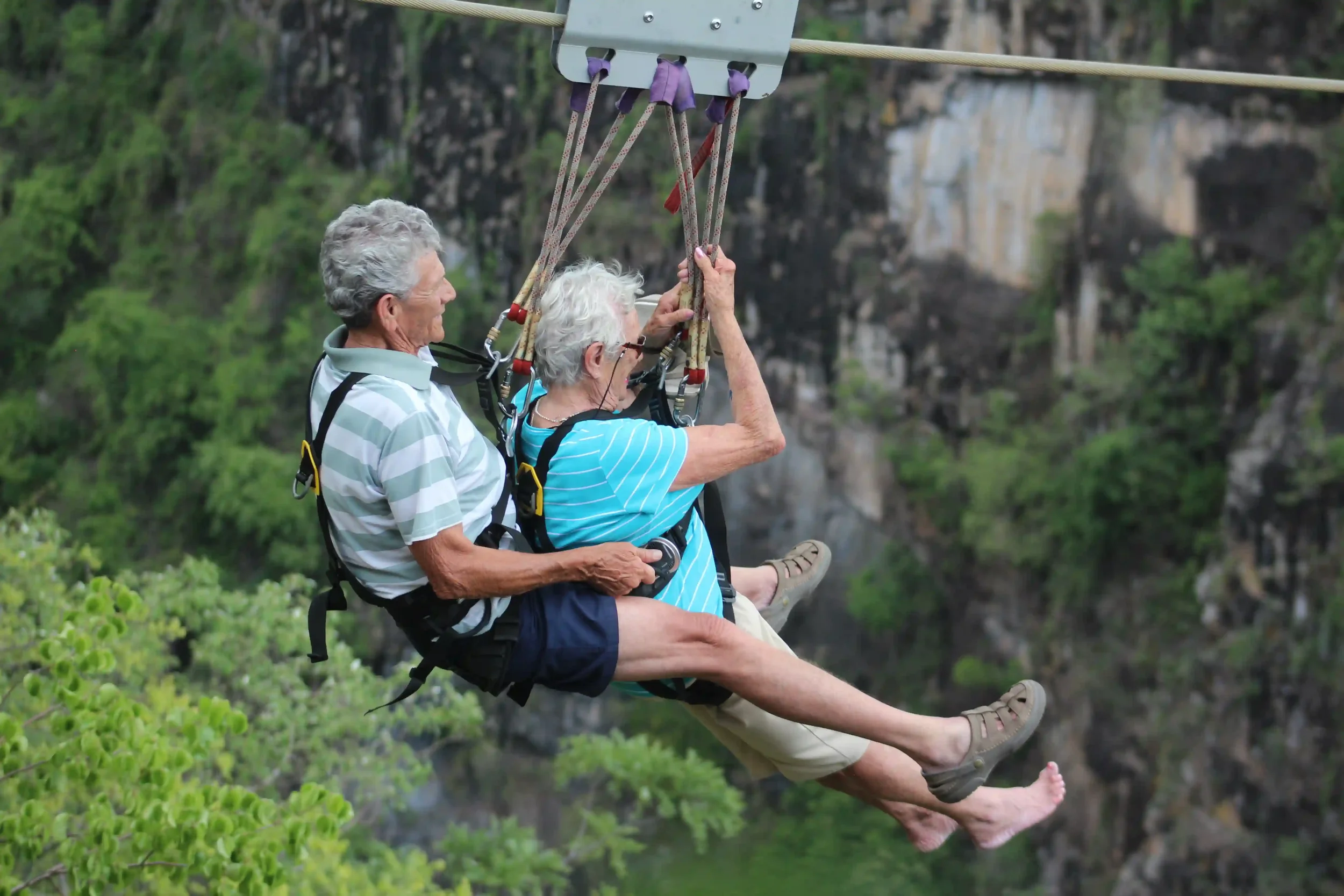 african-bridge-slidge-african-safari-experience.webp