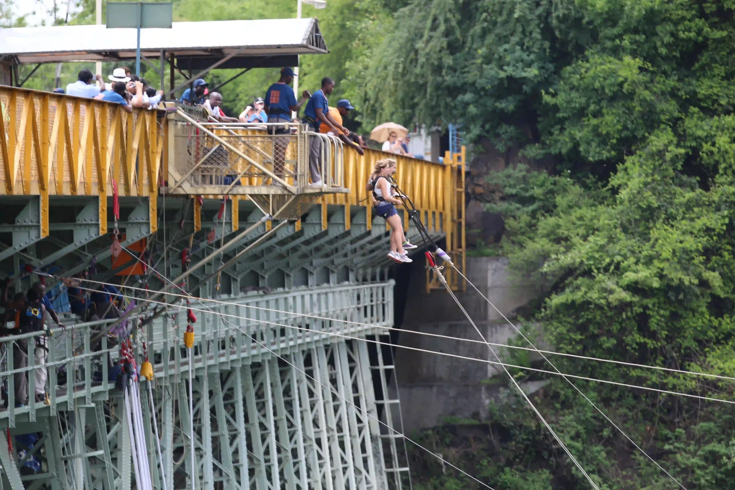 bridge-swing-tandem-african-safari-experience.webp