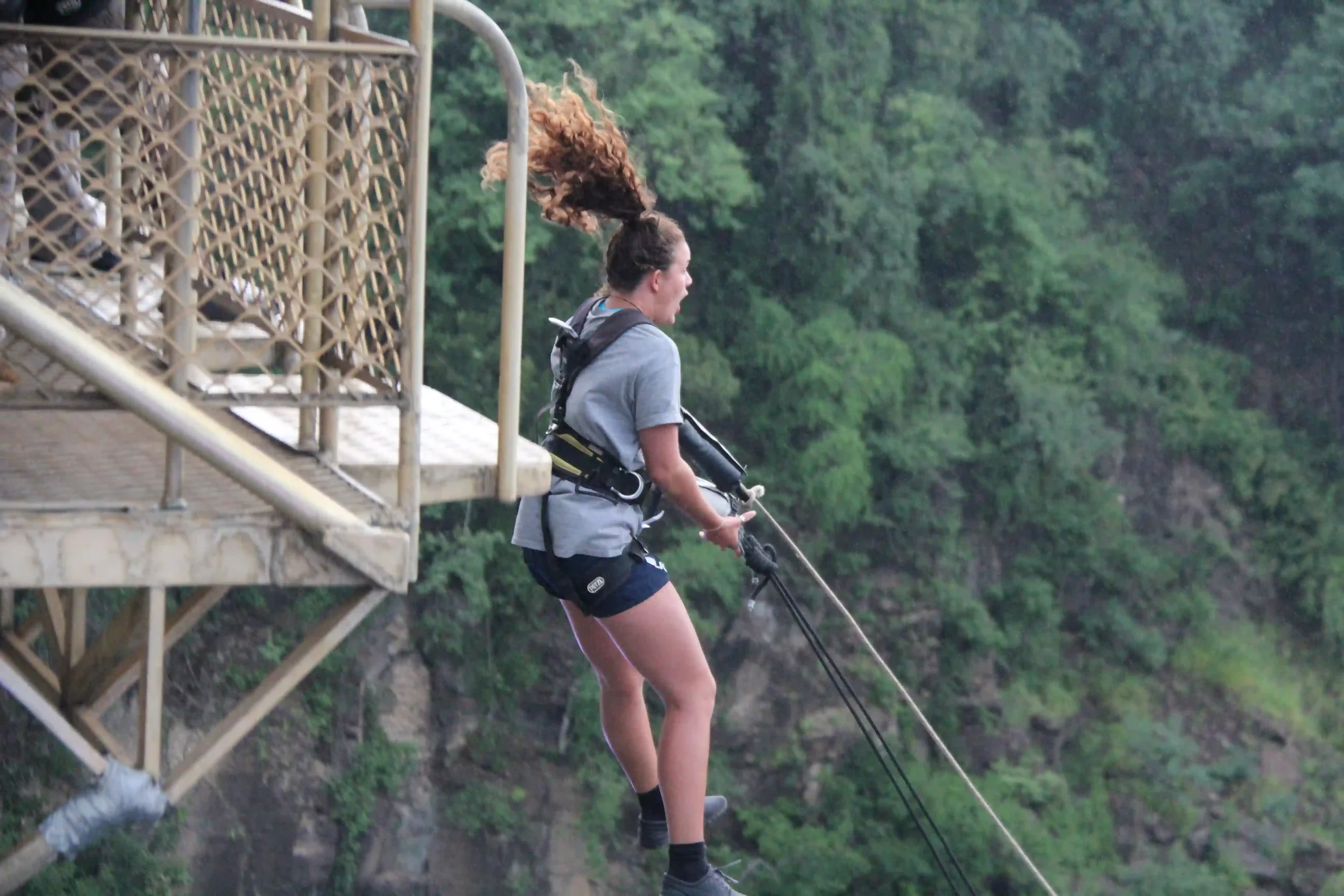 bridge-swing-african-safari-experience.webp