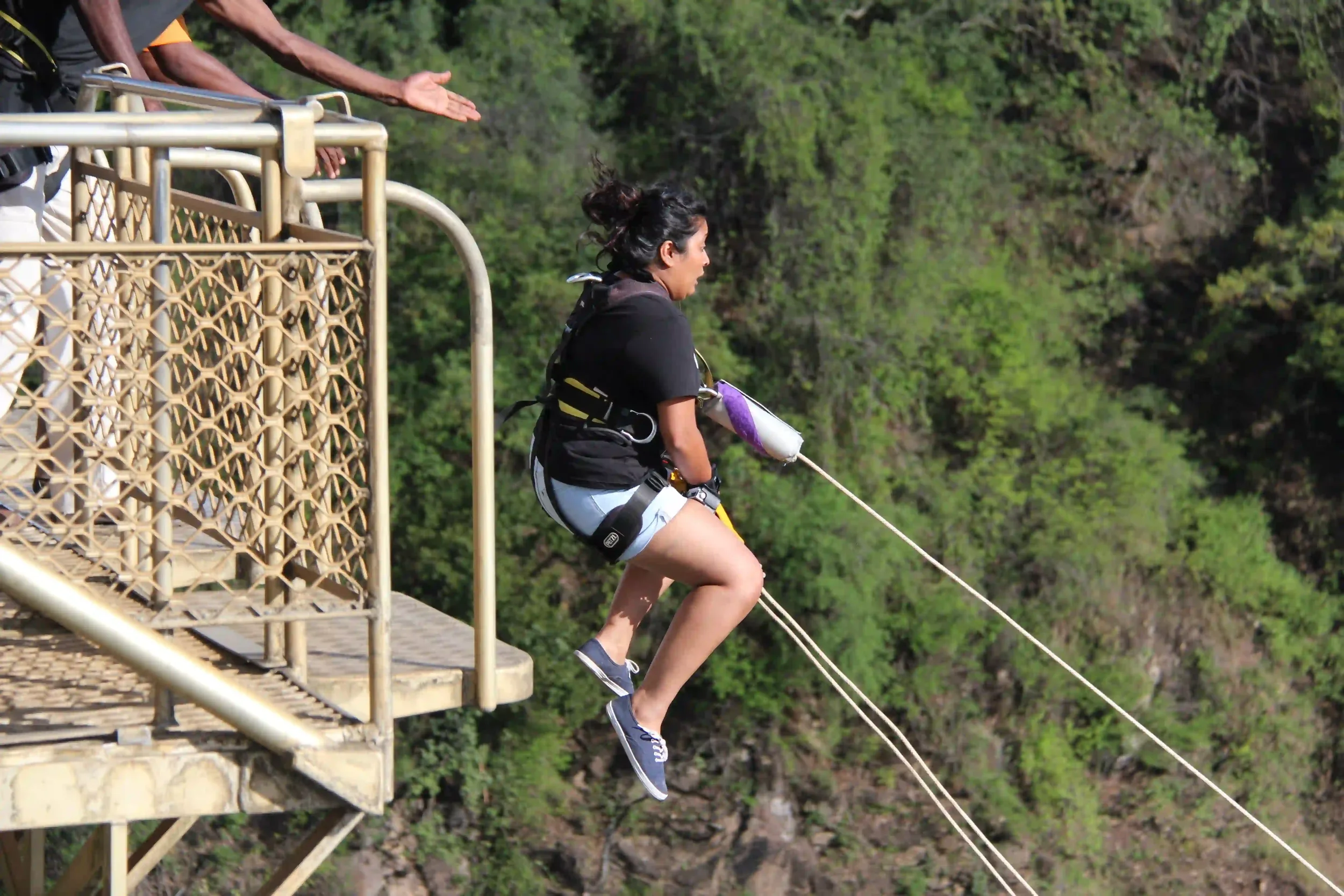 solo-bridge-swing-african-safari-experience.webp