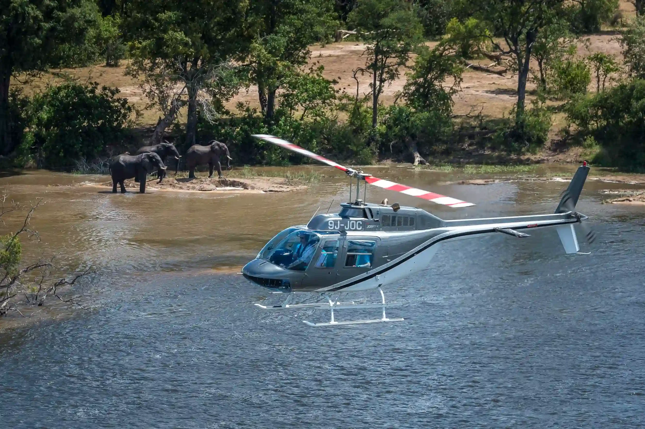 helicopter-flight-african-safari-experience.webp