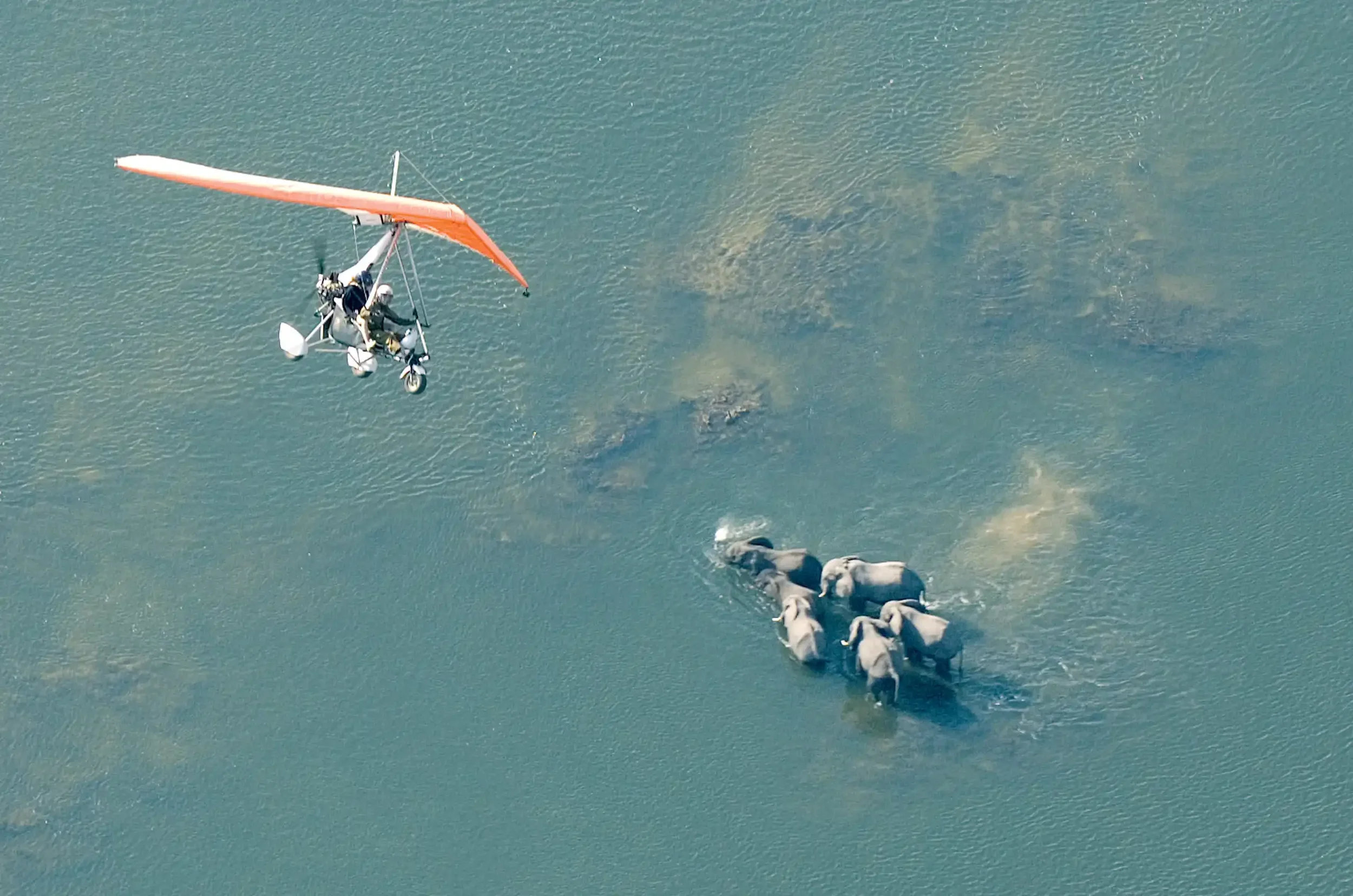 victoria-falls-short-microlight-flight-african-safari-experience.webp