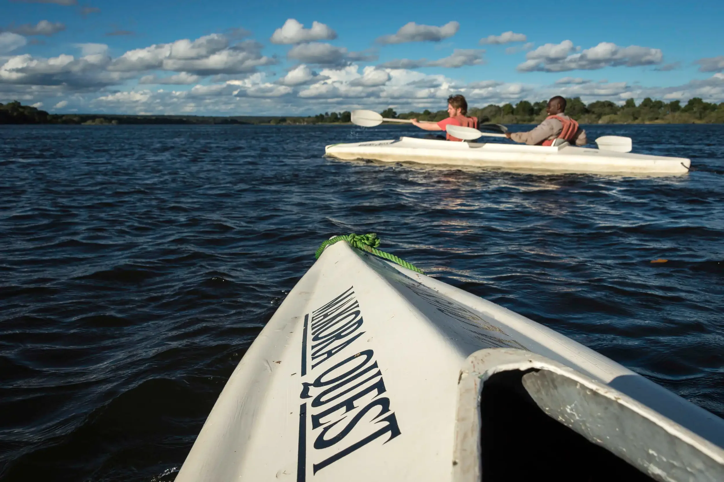 zambezi-canoeing-african-safari-experience.webp