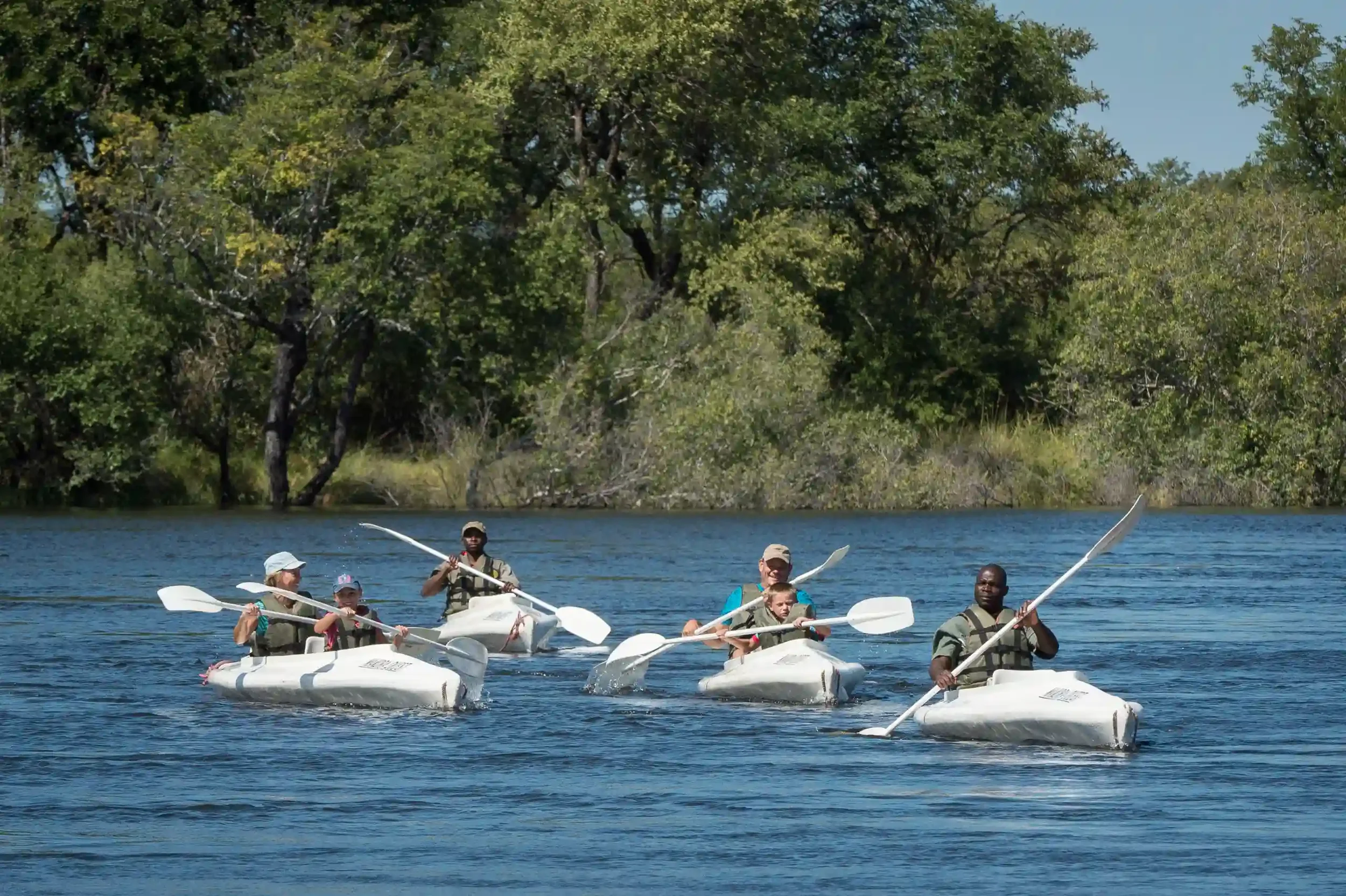 river-canoeing-african-safari-experience.webp