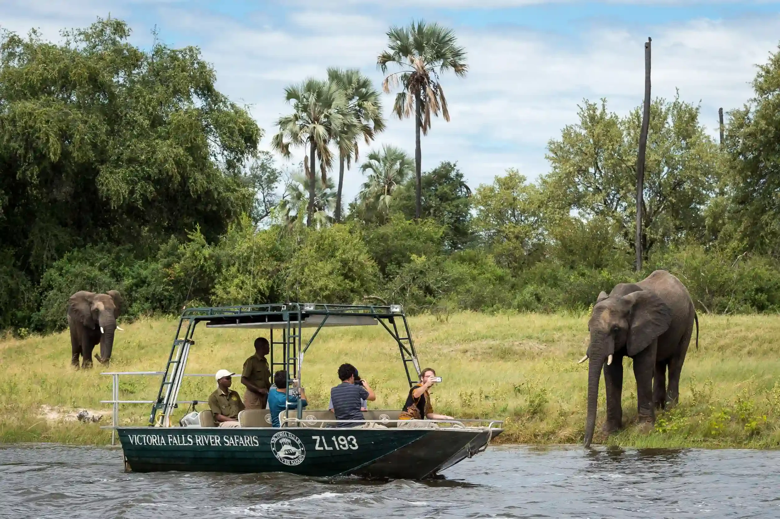 wild-river-safaris-african-safari-experience.webp