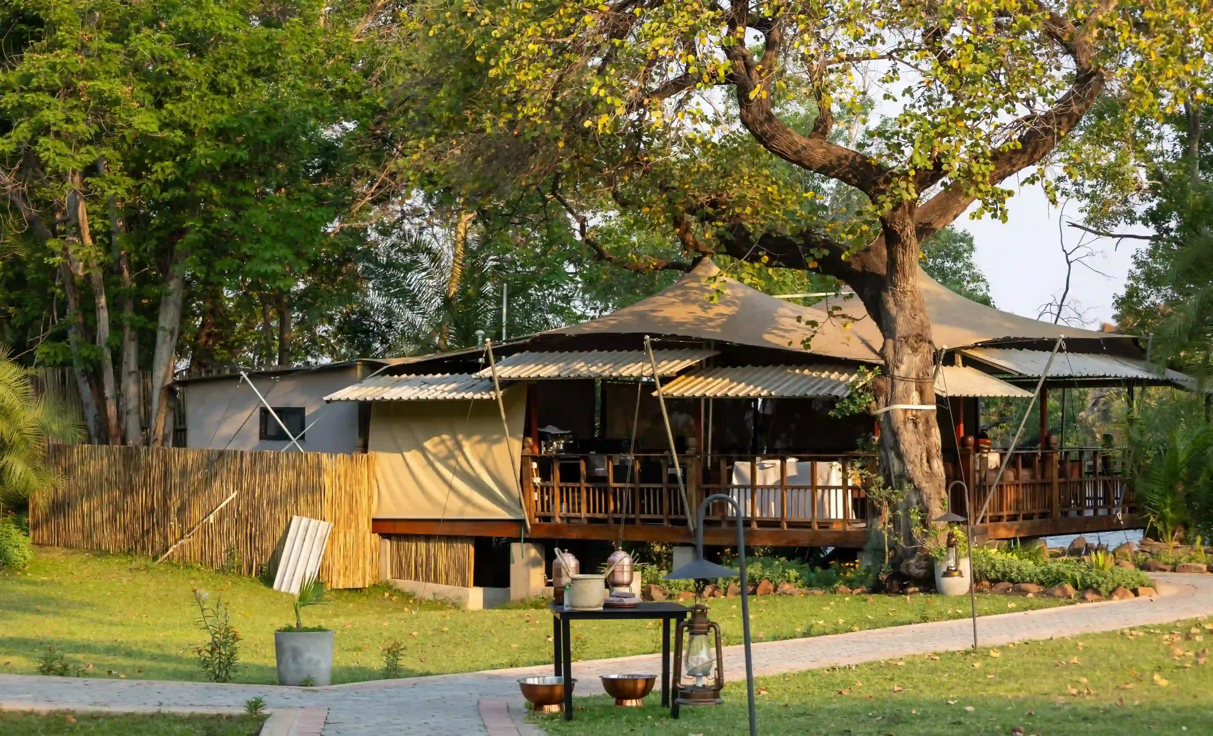 elephant-cafe-african-safari-experience.webp