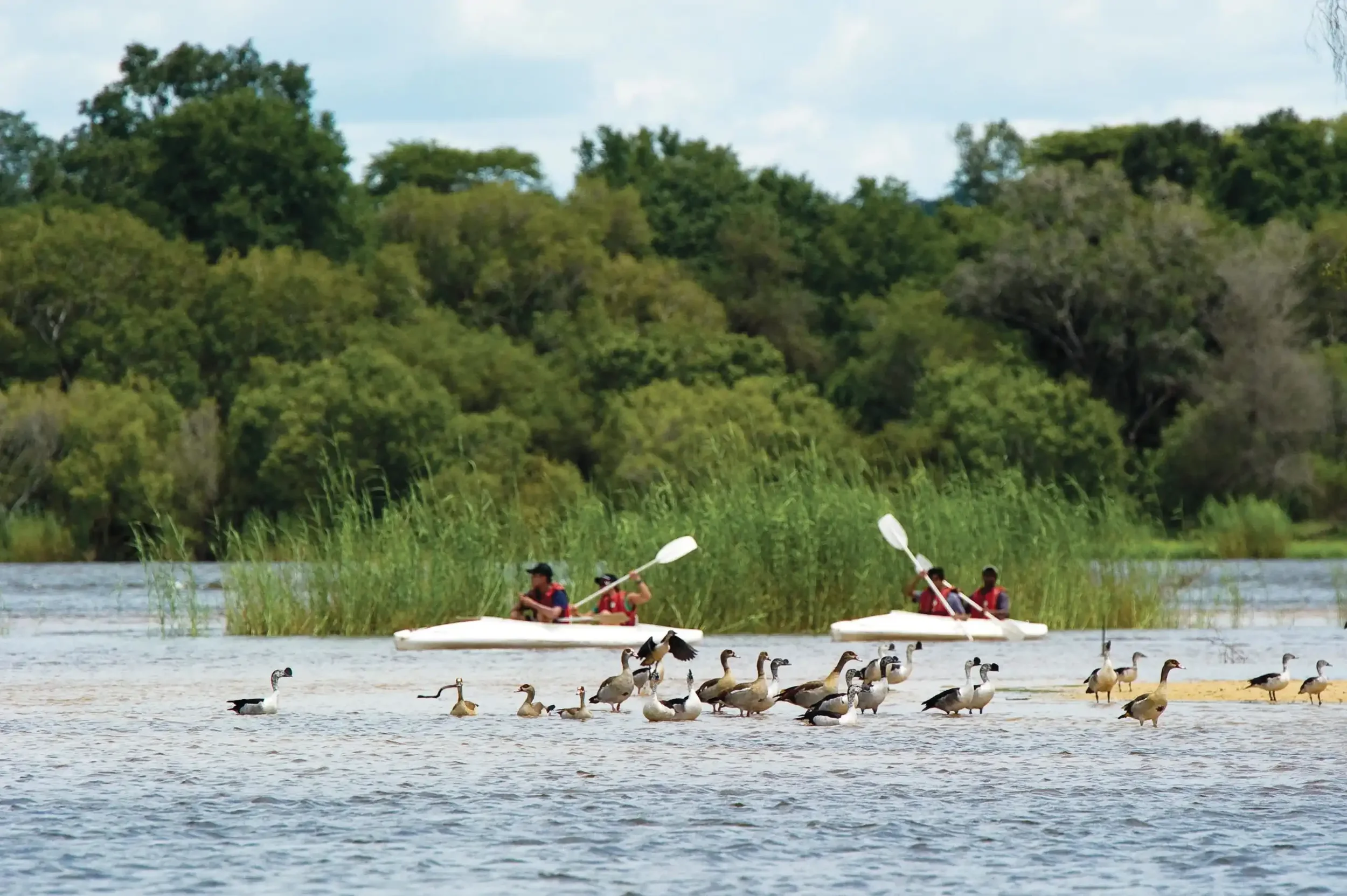 Canoeing - Half Day