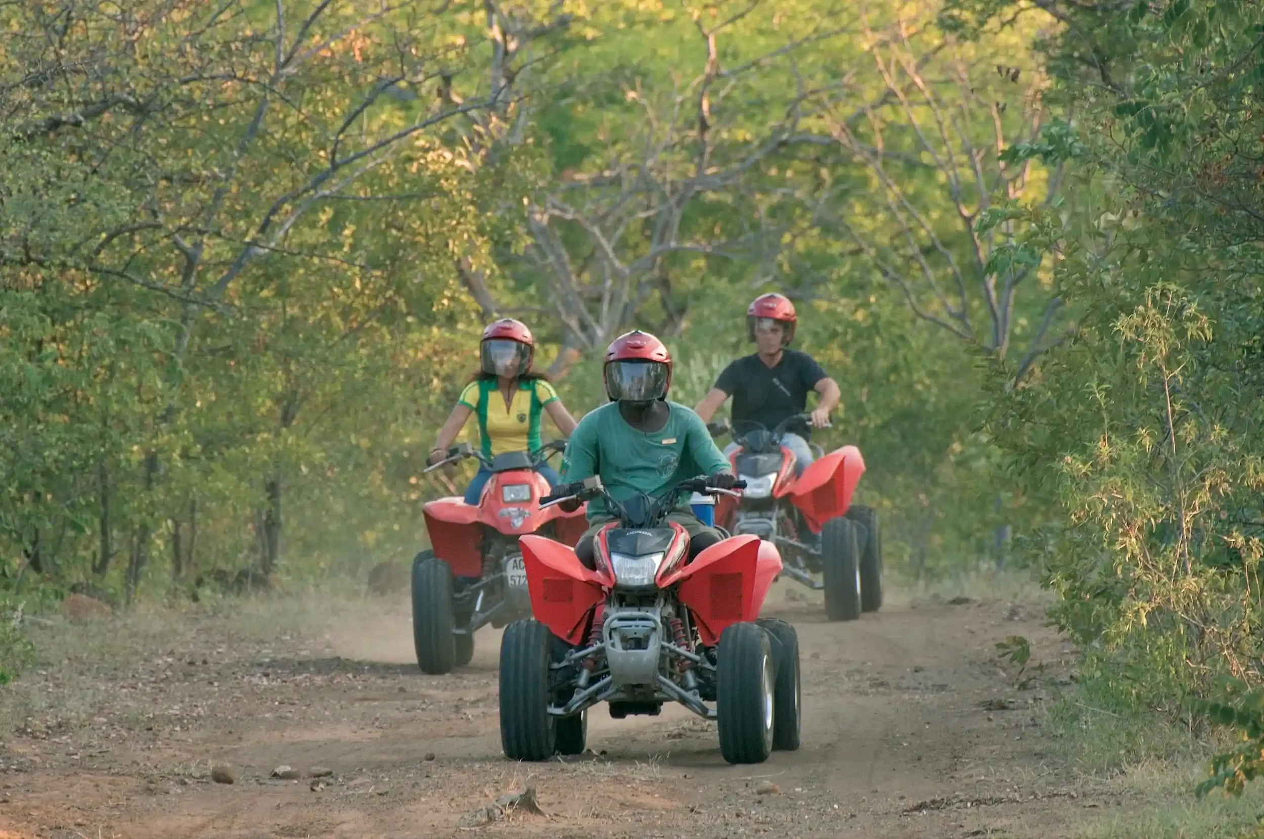 Quad Bike