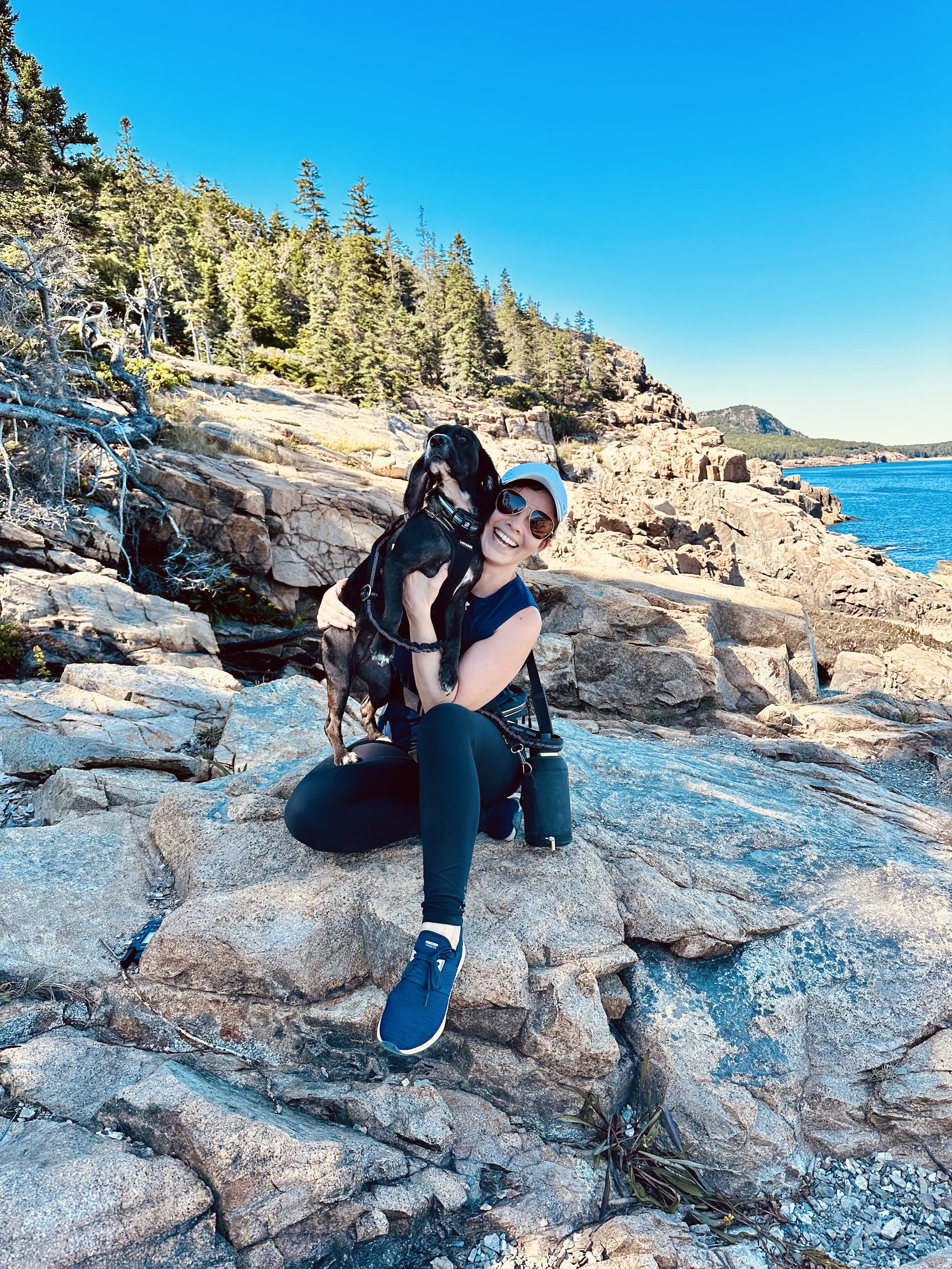 12 Dog Travel Essentials I Never Leave Home Without