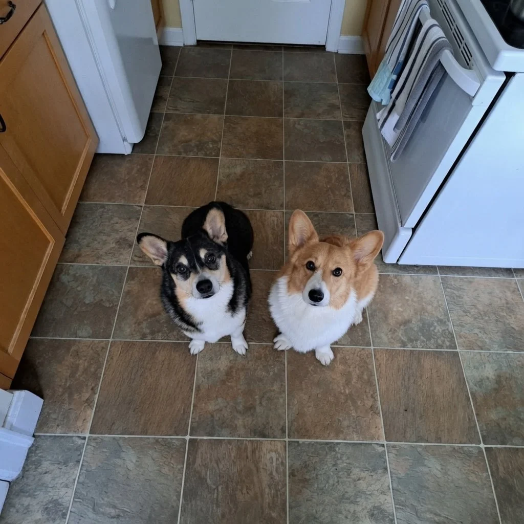 Drop-In Visit
