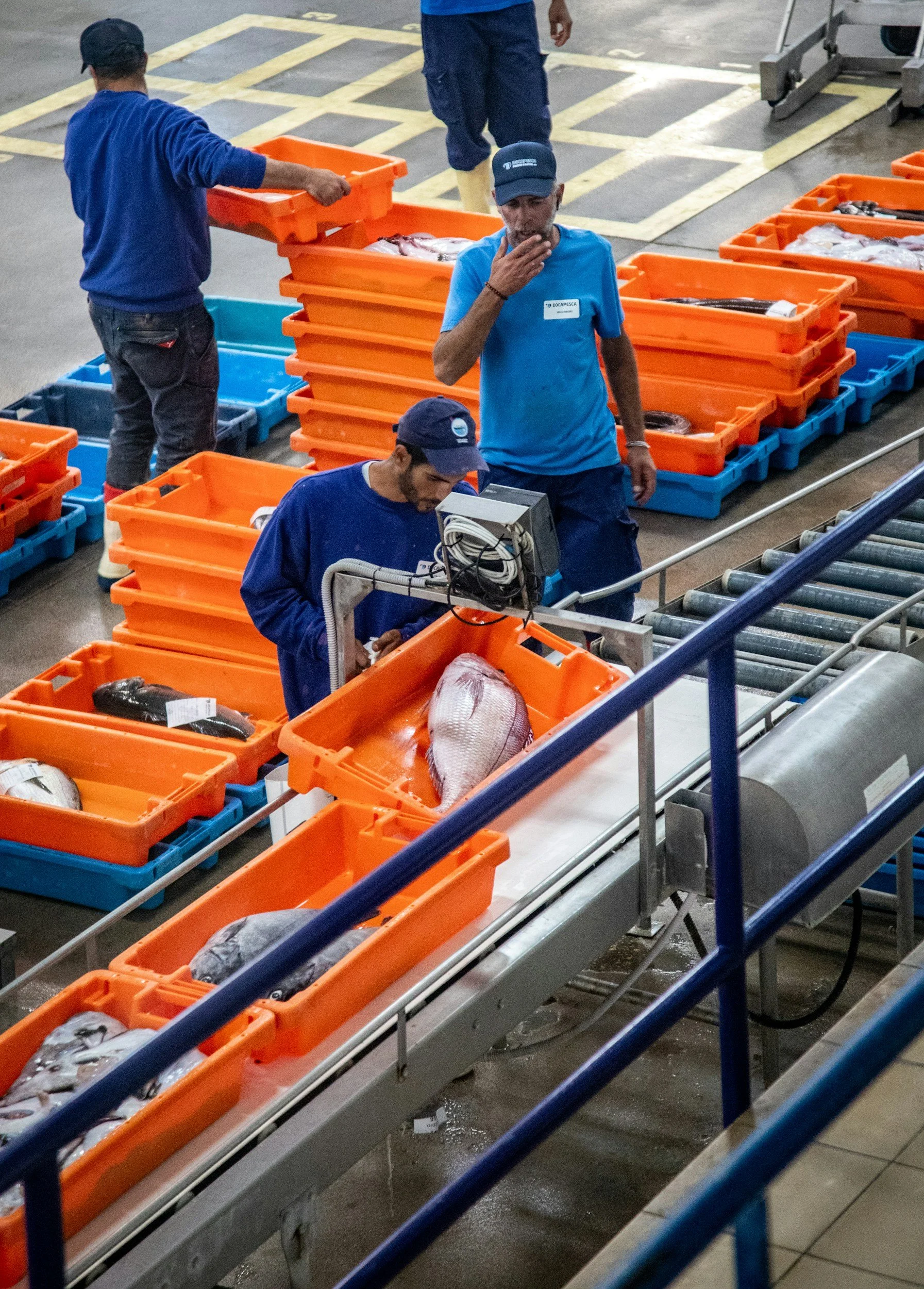 Workers handling fish in orange and blue containers at a fish processing plant, with a conveyor belt in the foreground.