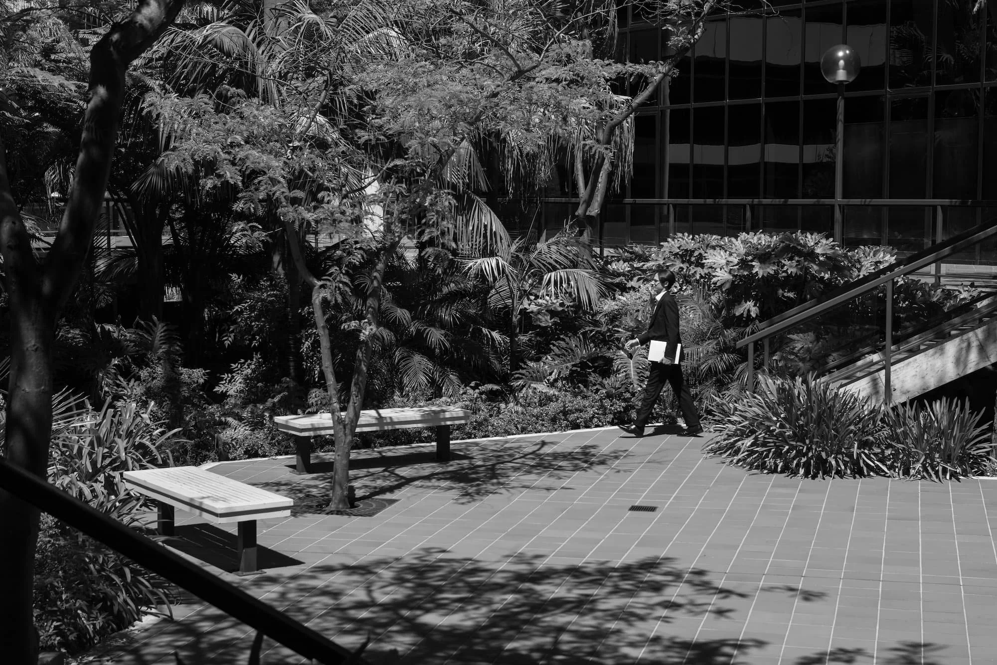 A person in a suit walking through a park with lush trees and plants, a bench, and a modern glass building in the background.