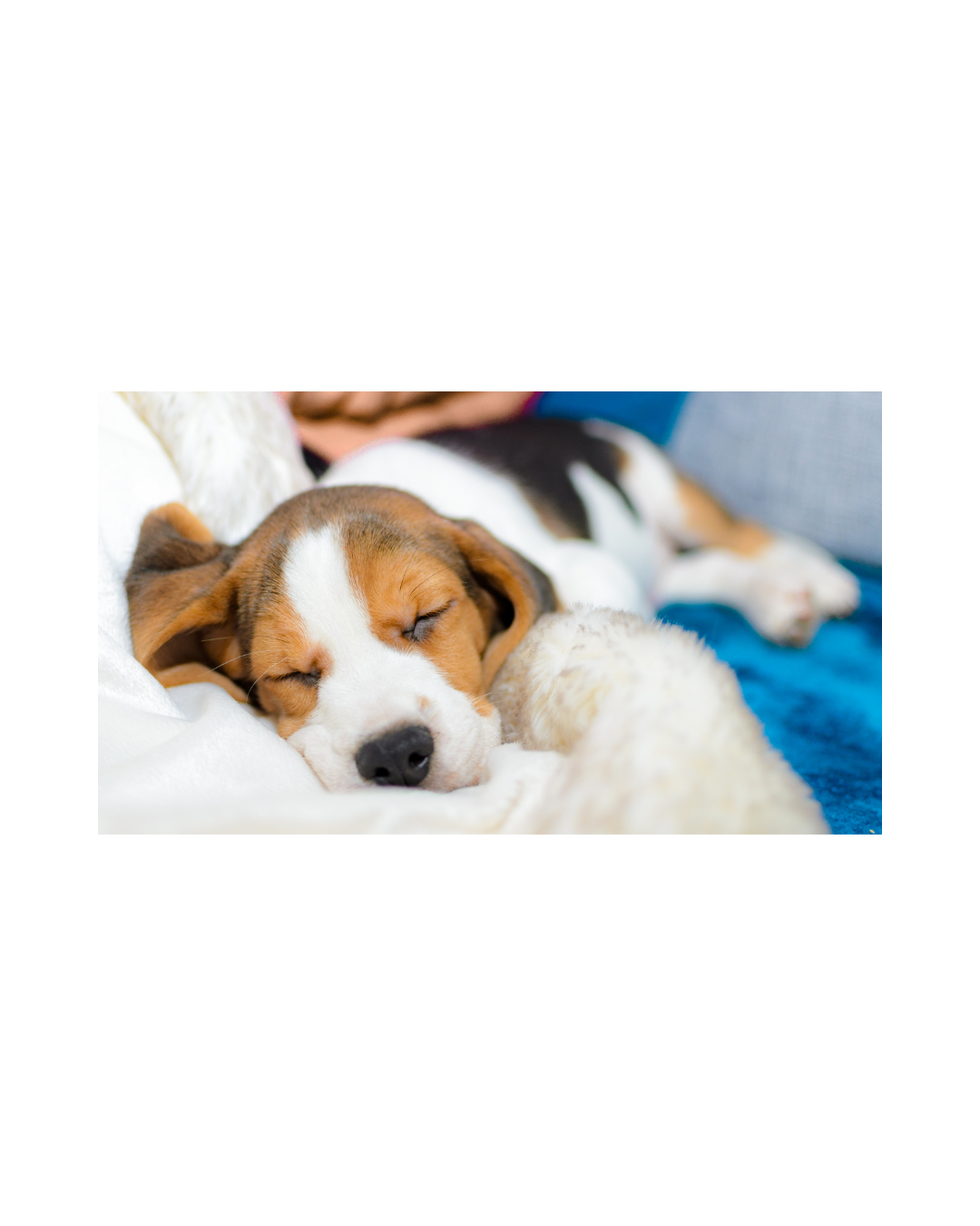 Hypnosis for Deep Sleep