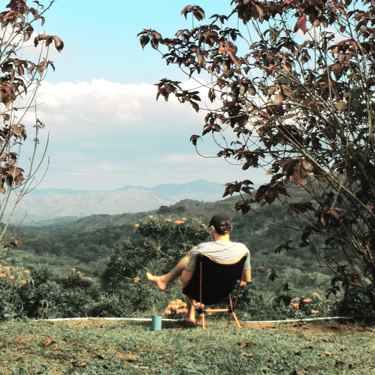 Person sitting in a foldable chair outdoors, overlooking a landscape of mountains, trees, and flowers, framed by branches and leaves.
