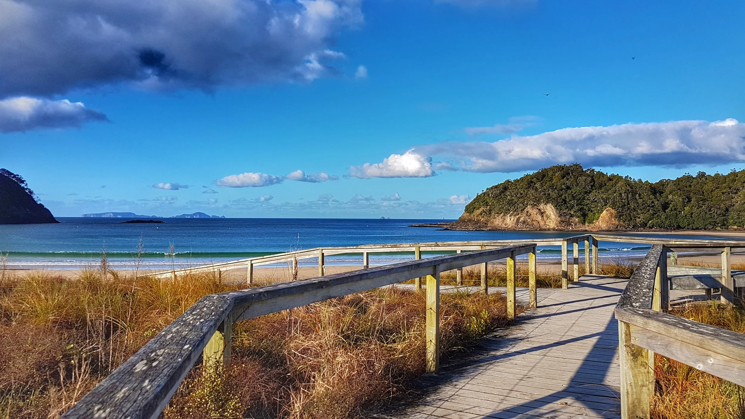 Matapouri Beach, New Zealand, one of the beautiful coastal spots that inspires the calm, growth focused feel behind Innerbloom Studio's brand.