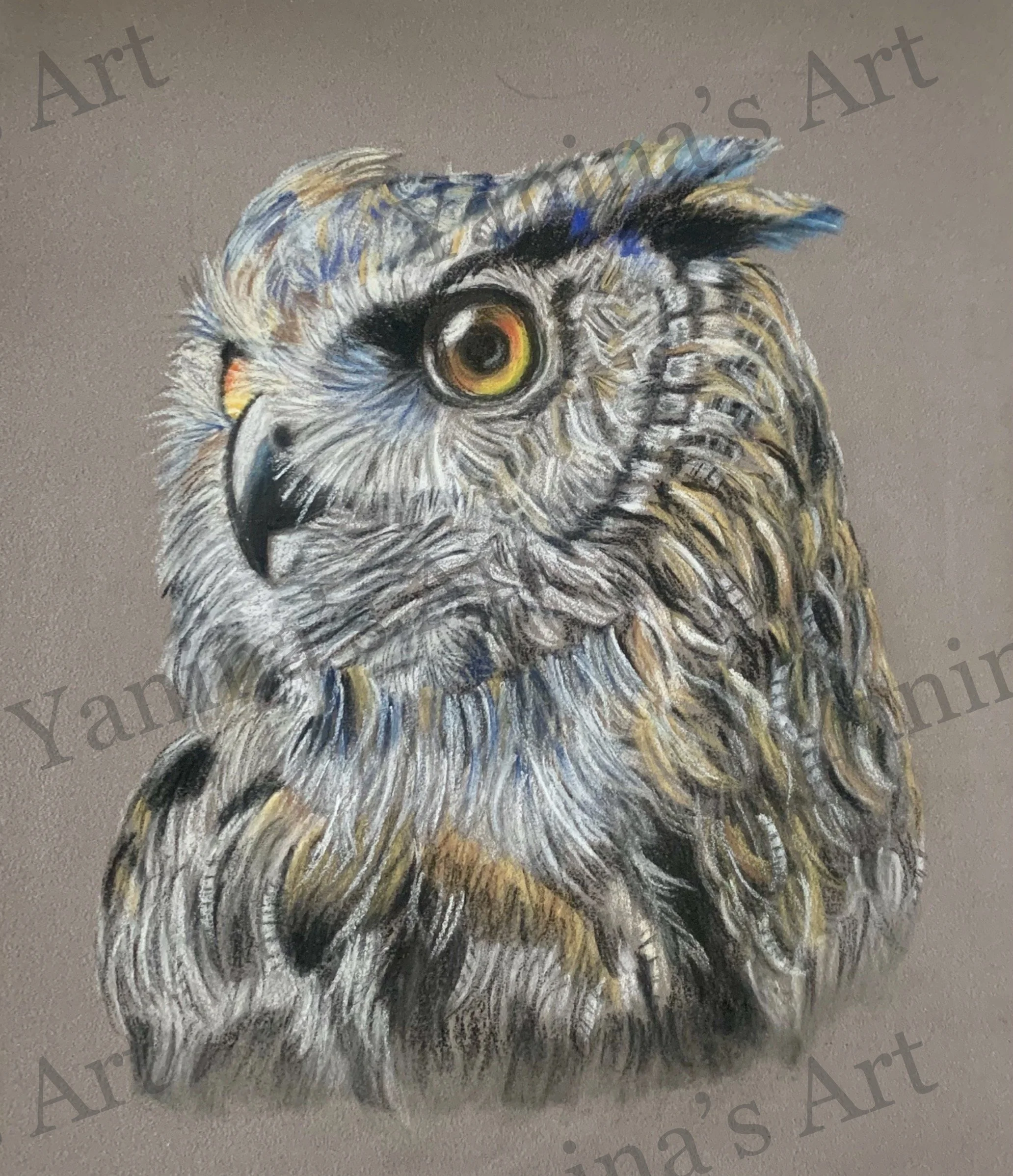 A detailed colored pencil drawing of an owl's face and upper body, with piercing yellow eyes, intricate feather patterns, and a neutral gray background.