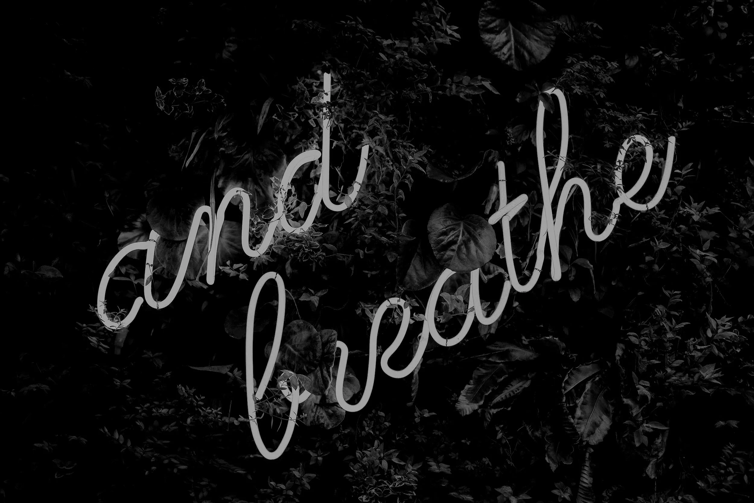 KŌZĒ Exhale