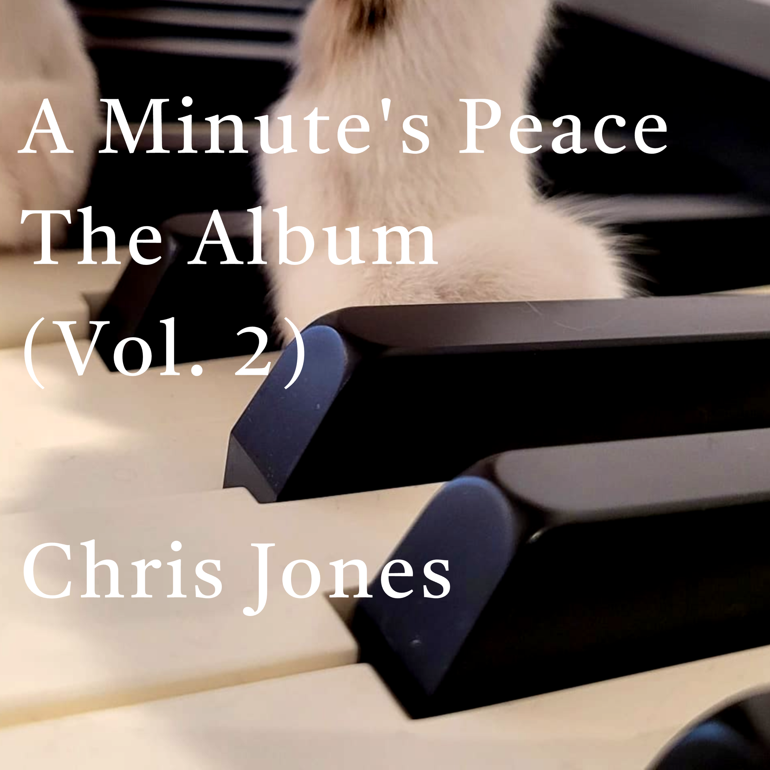 A Minute's Peace – The Album (Vol. 2)