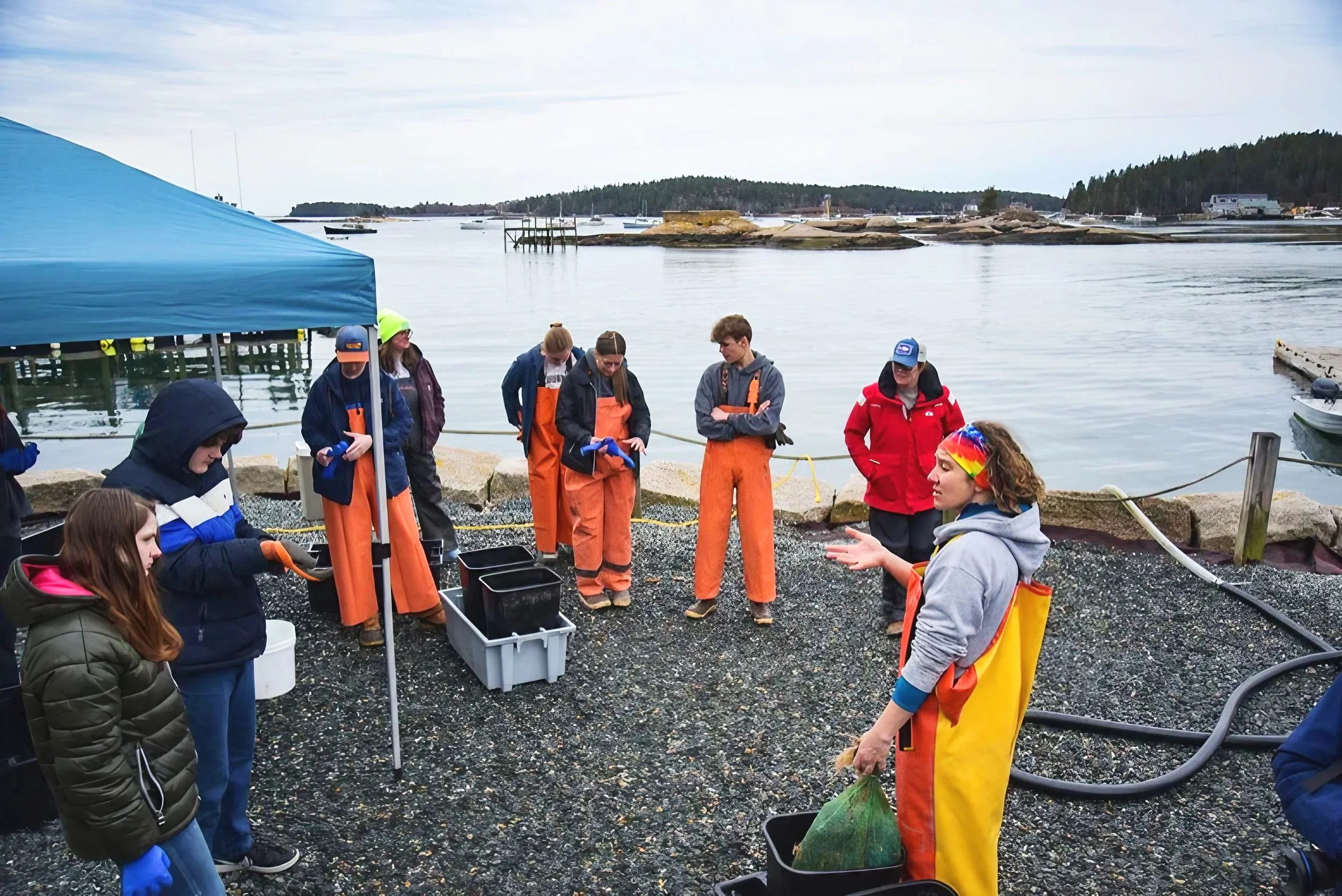 Islesboro Central School students visiting Hurricane Island. Students on rocky shoreline near water, wearing rain gear and waders, involved in a clam digging or shellfish harvesting activity, with boats and trees in the background on a cloudy day.