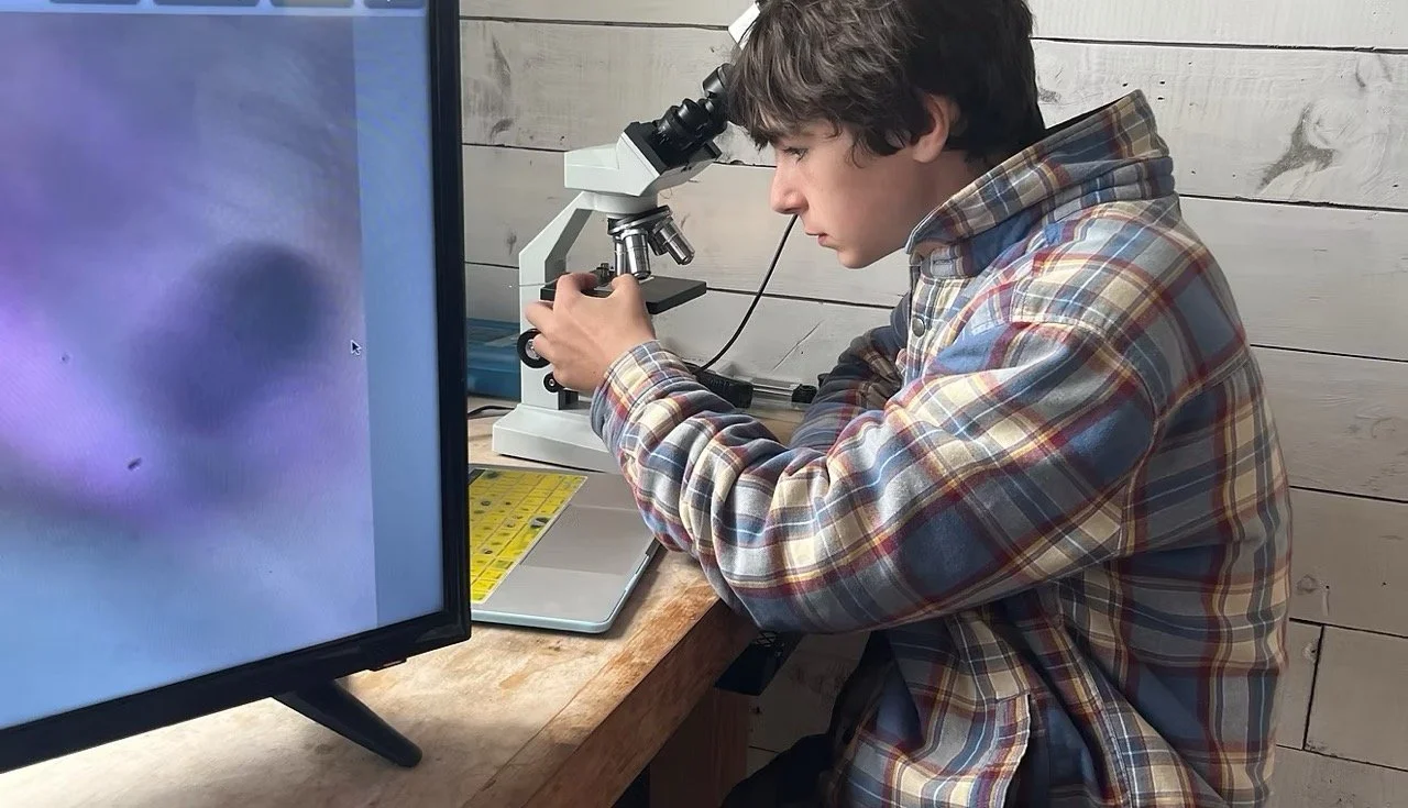A young person looking into a microscope while sitting at a wooden table in front of a computer monitor, with a wooden paneled wall in the background.