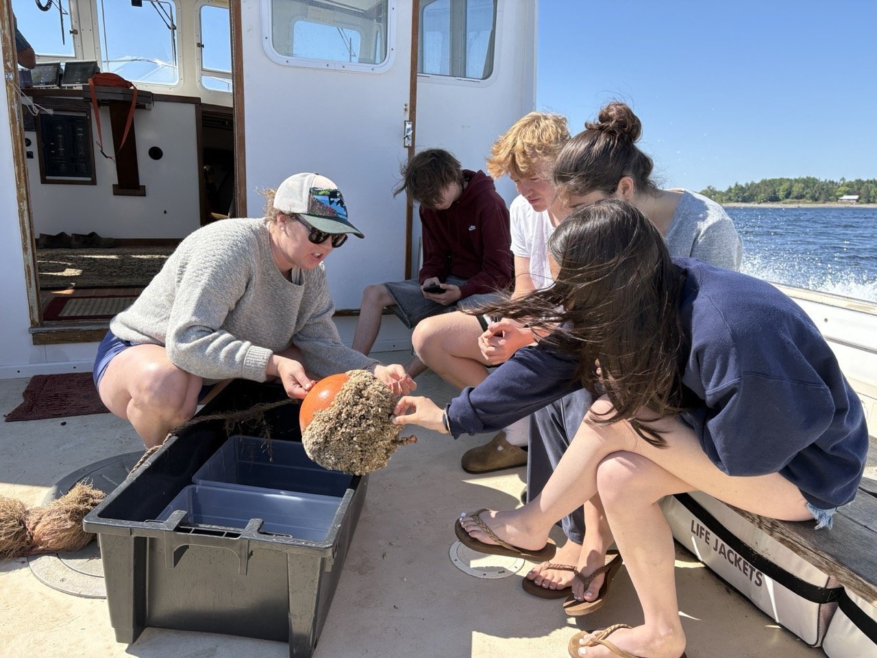 Five people on a boat, two women and three young men, are closely observing and handling a large oceanic creature with a bulbous head and long tentacles, possibly a giant squid or octopus, over a plastic container. The boat is on the water with a sho