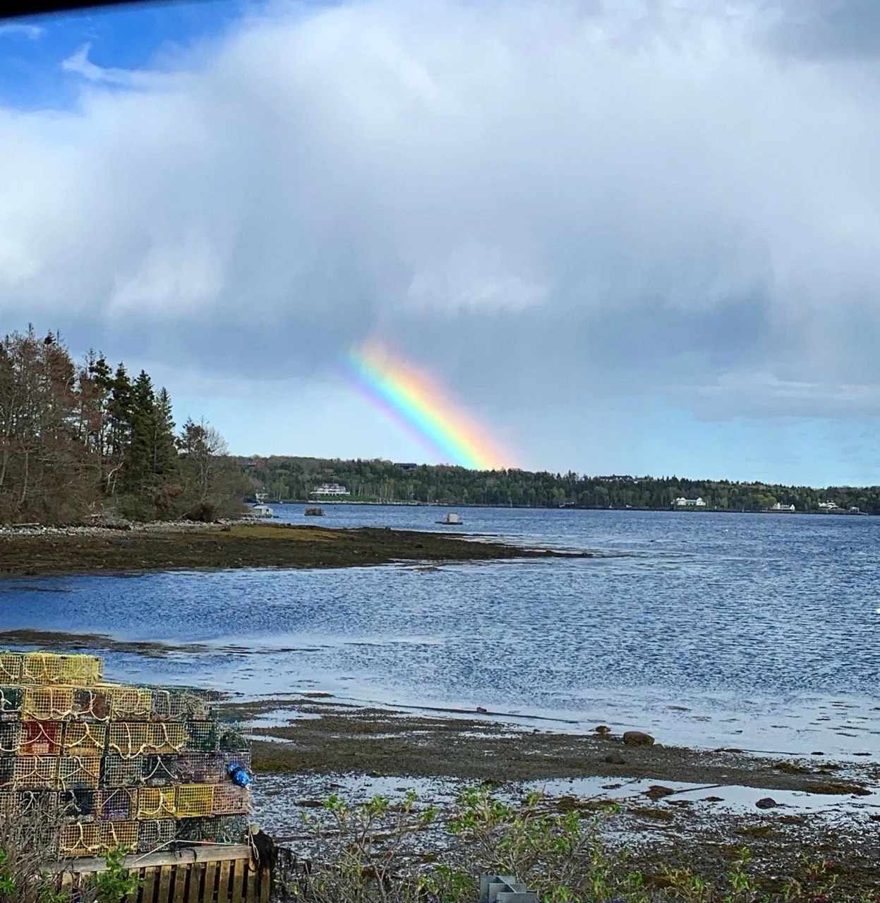 A view of a waterfront with a rainbow in the sky, cloudy weather, trees and houses in the distance, and a stack of lobster traps in the foreground.