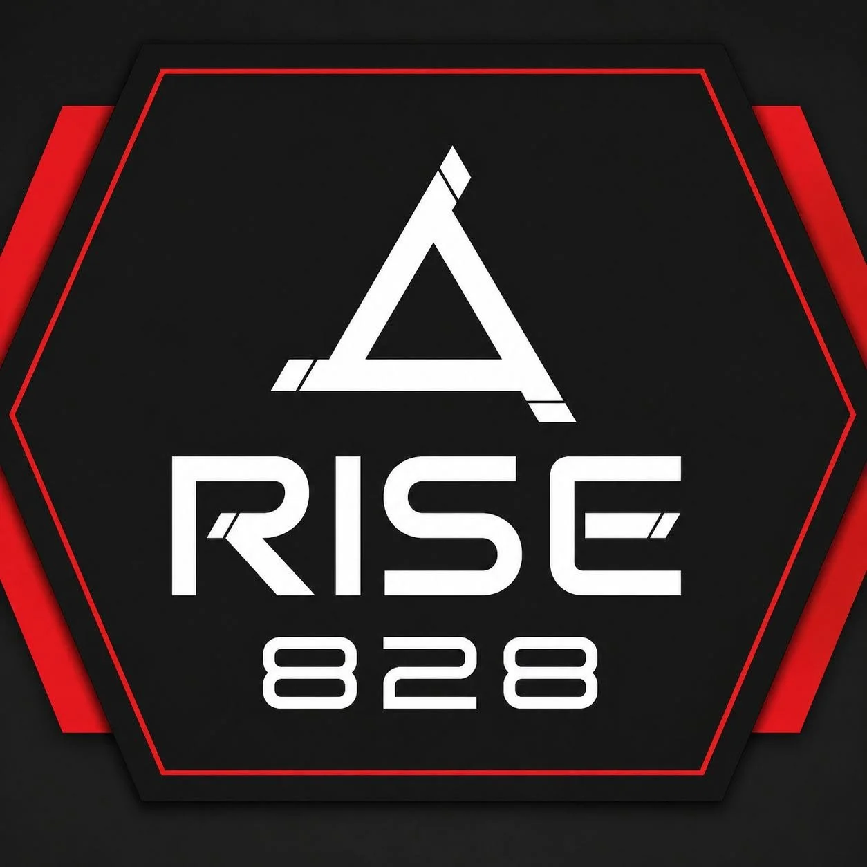 A black hexagon with red outline, featuring the white stylized text 'RISE 828' and a geometric triangular logo above the text.