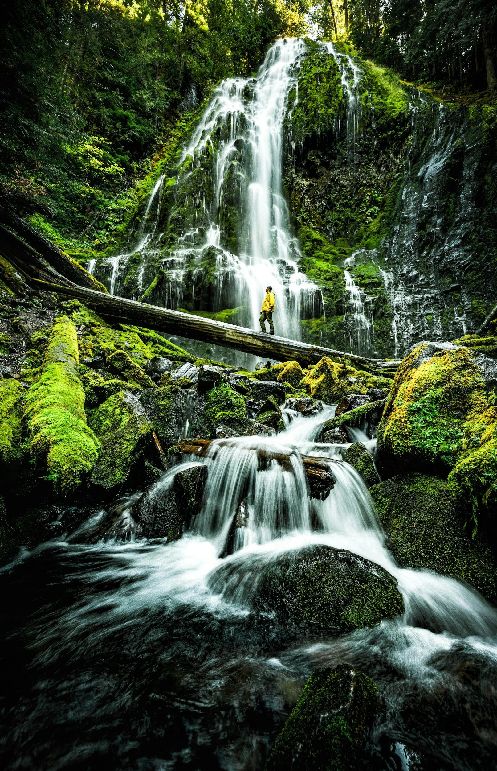 A person in a yellow jacket exploring a lush green forest near a cascading waterfall with moss-covered rocks and a wooden log bridge.