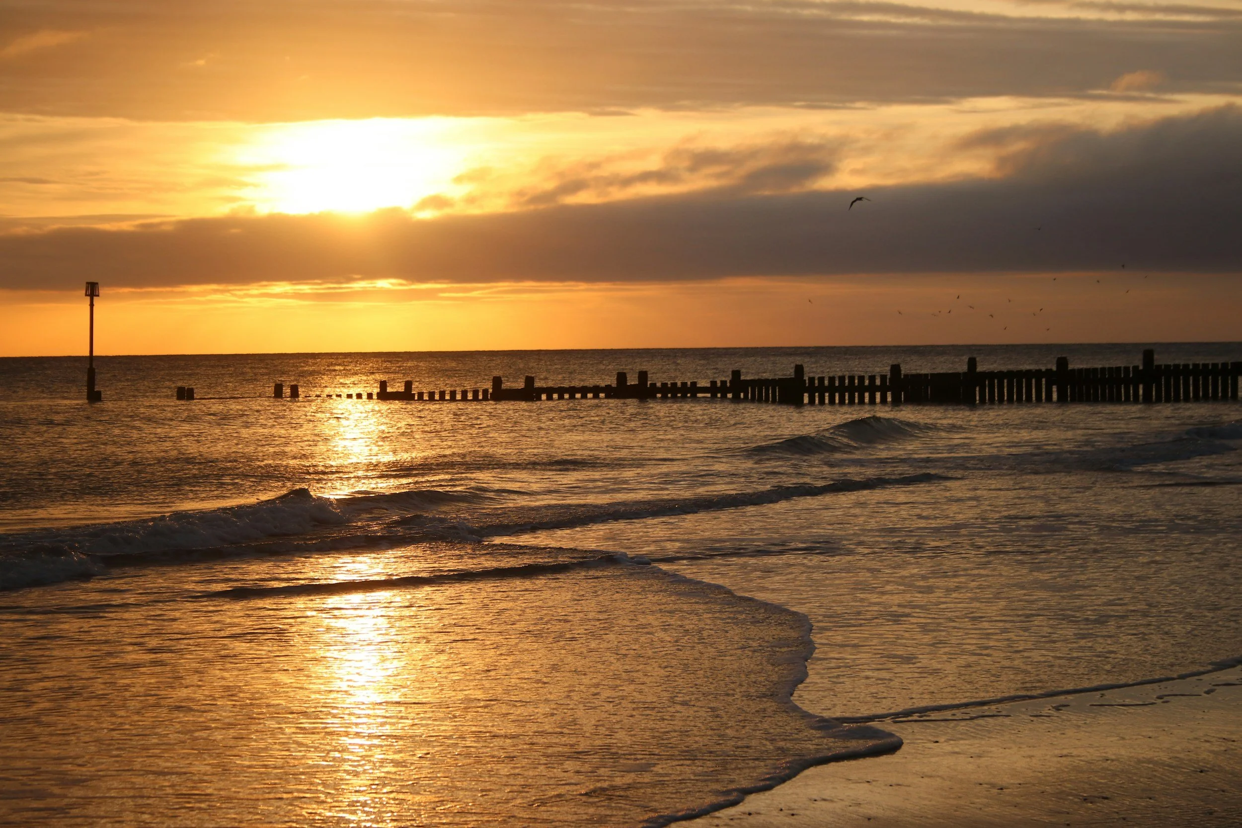 A sunset over the ocean with a partly cloudy sky, seagulls flying, a wooden pier extending into the water, and gentle waves lapping at the shore.