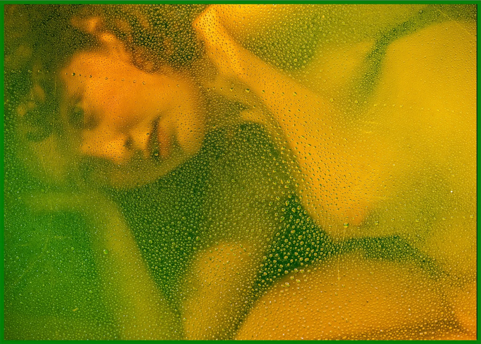 Karel Waignein - Plexi-Bieke1