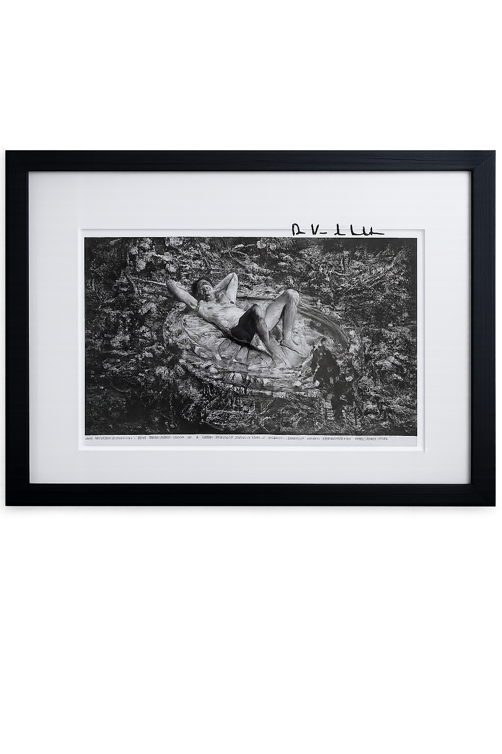 Rinus Van de Velde - I am lying in the water that ...