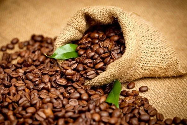 Premium Arabica Coffee