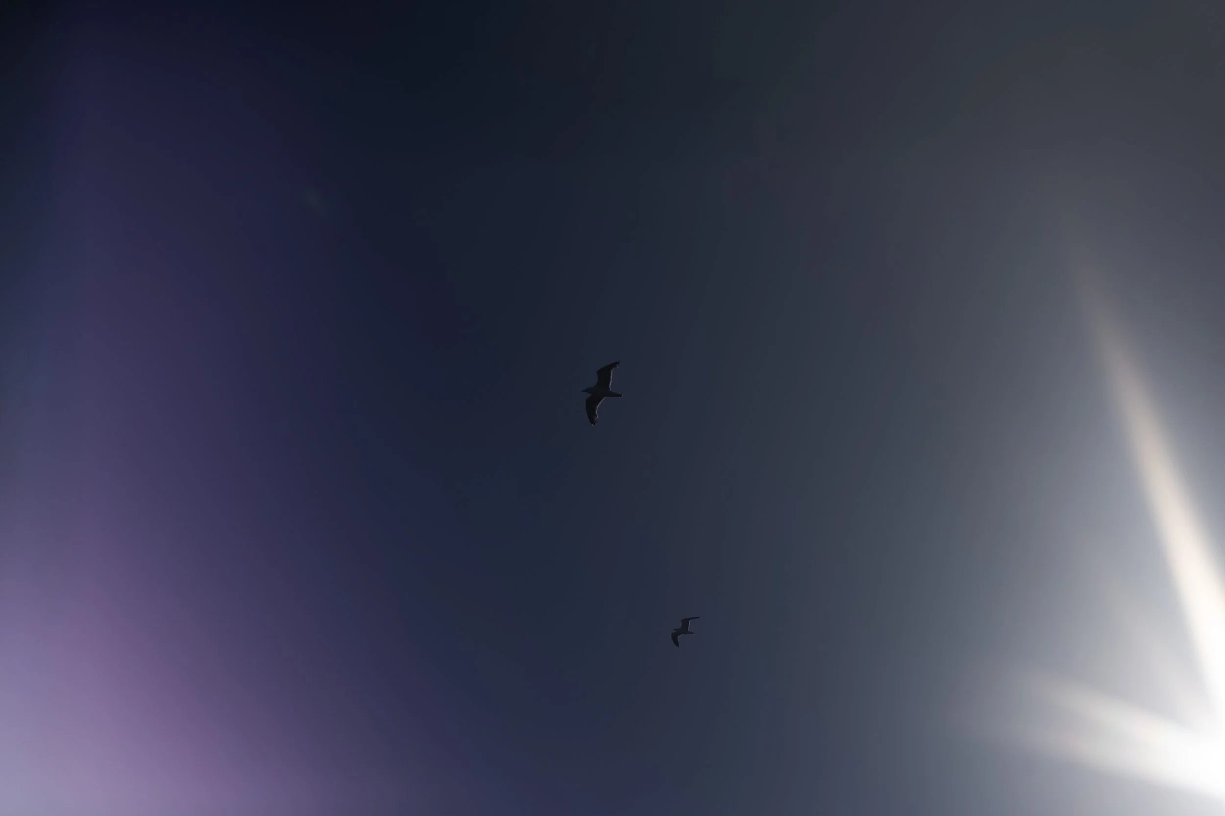 4N0A8133.jpg