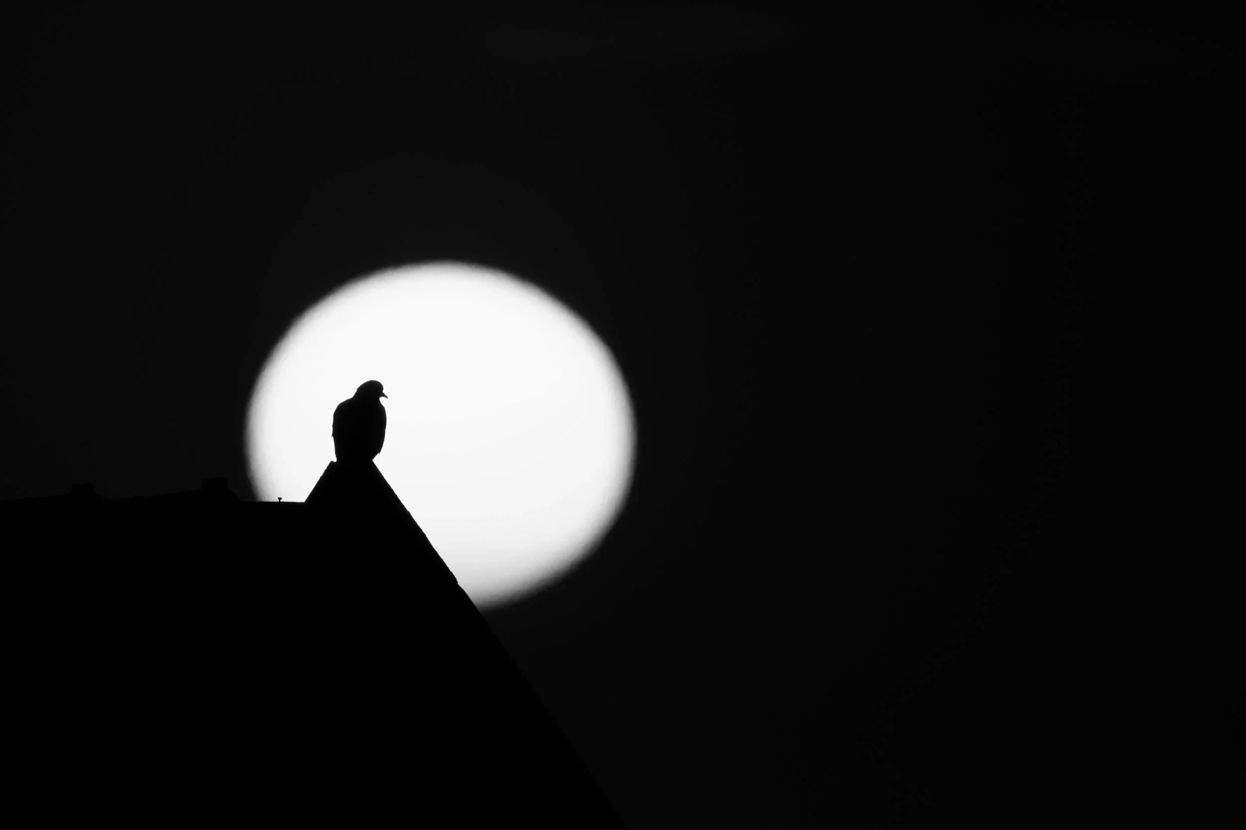4N0A7763.jpg