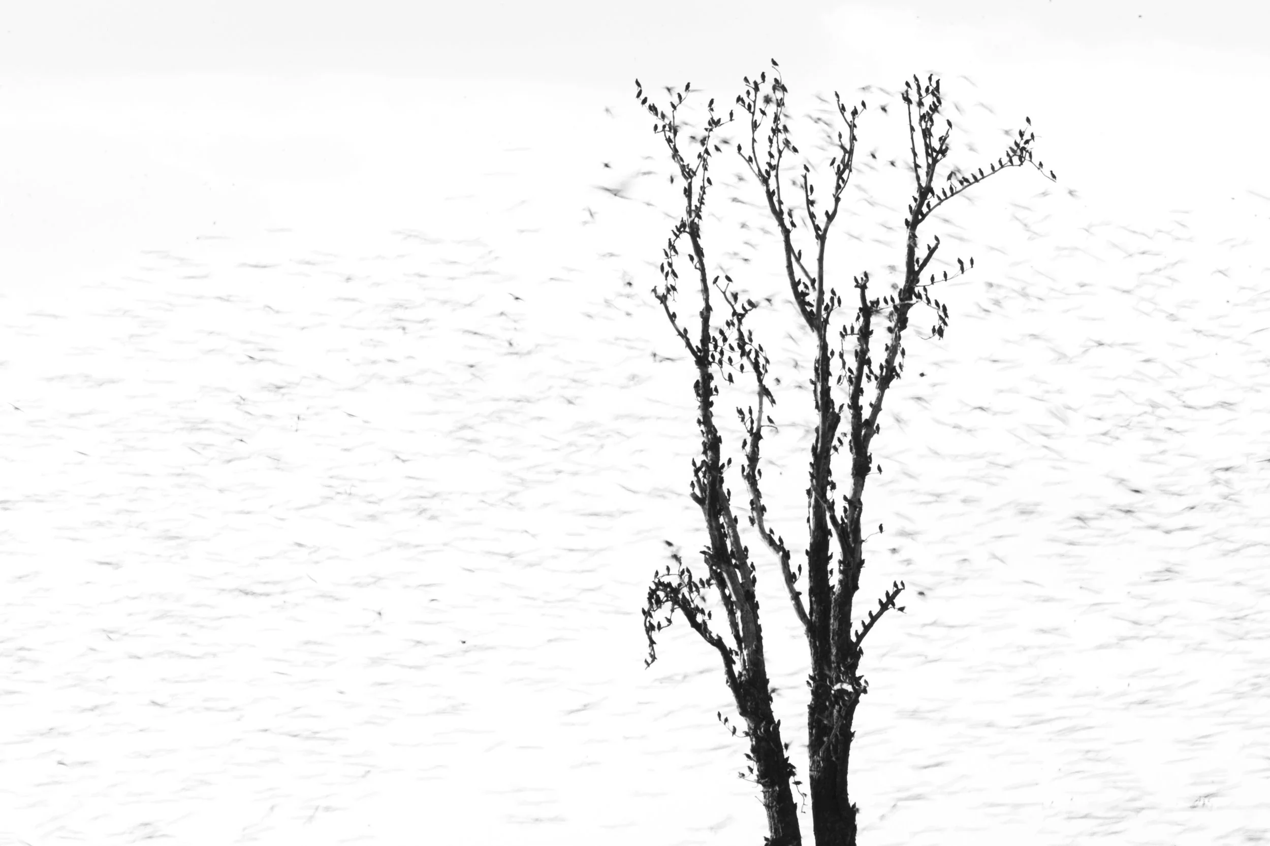 4N0A9070.jpg