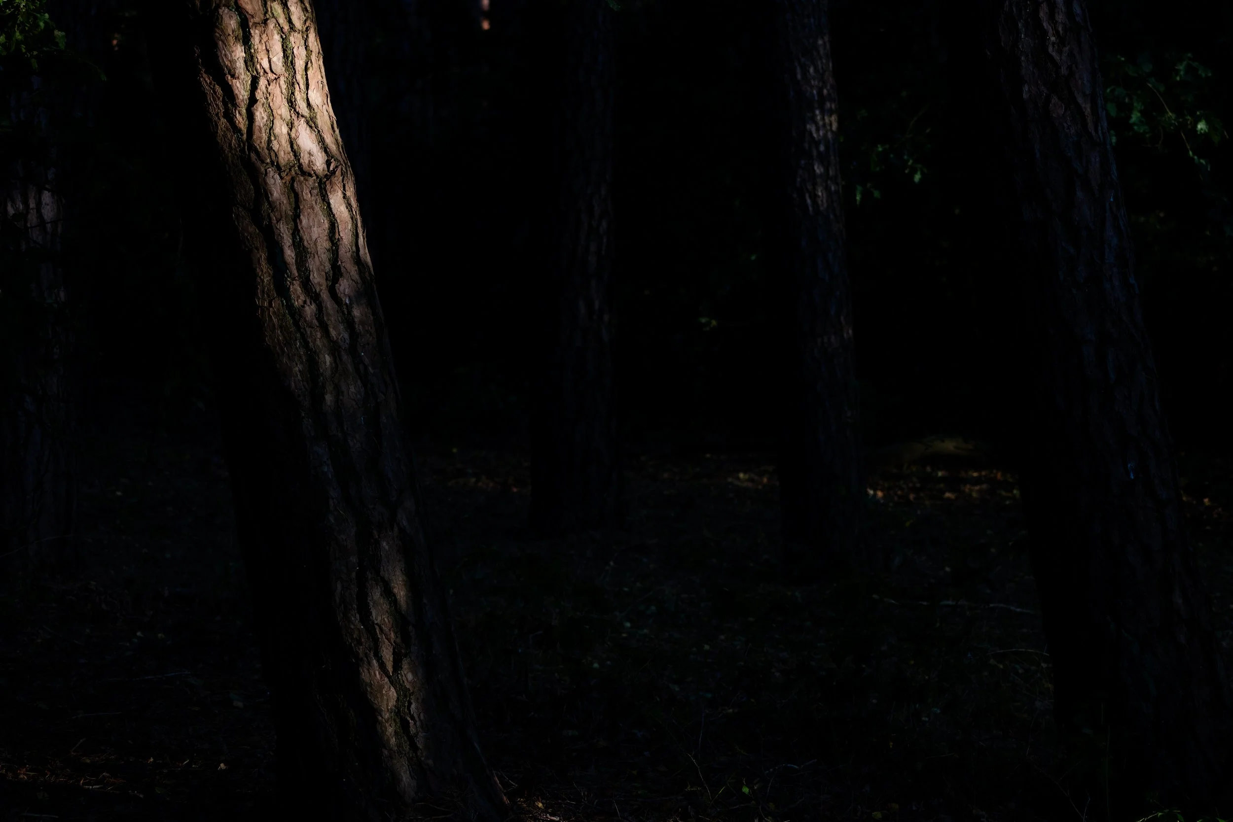 4N0A9490.jpg