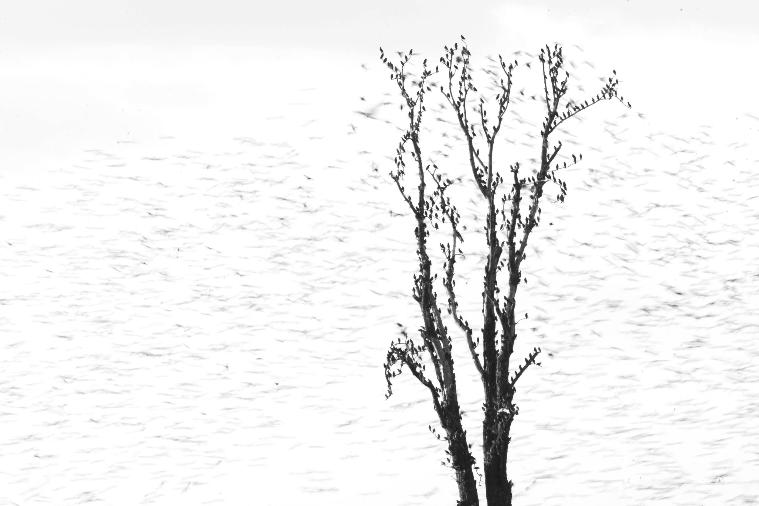 4N0A9070.jpg