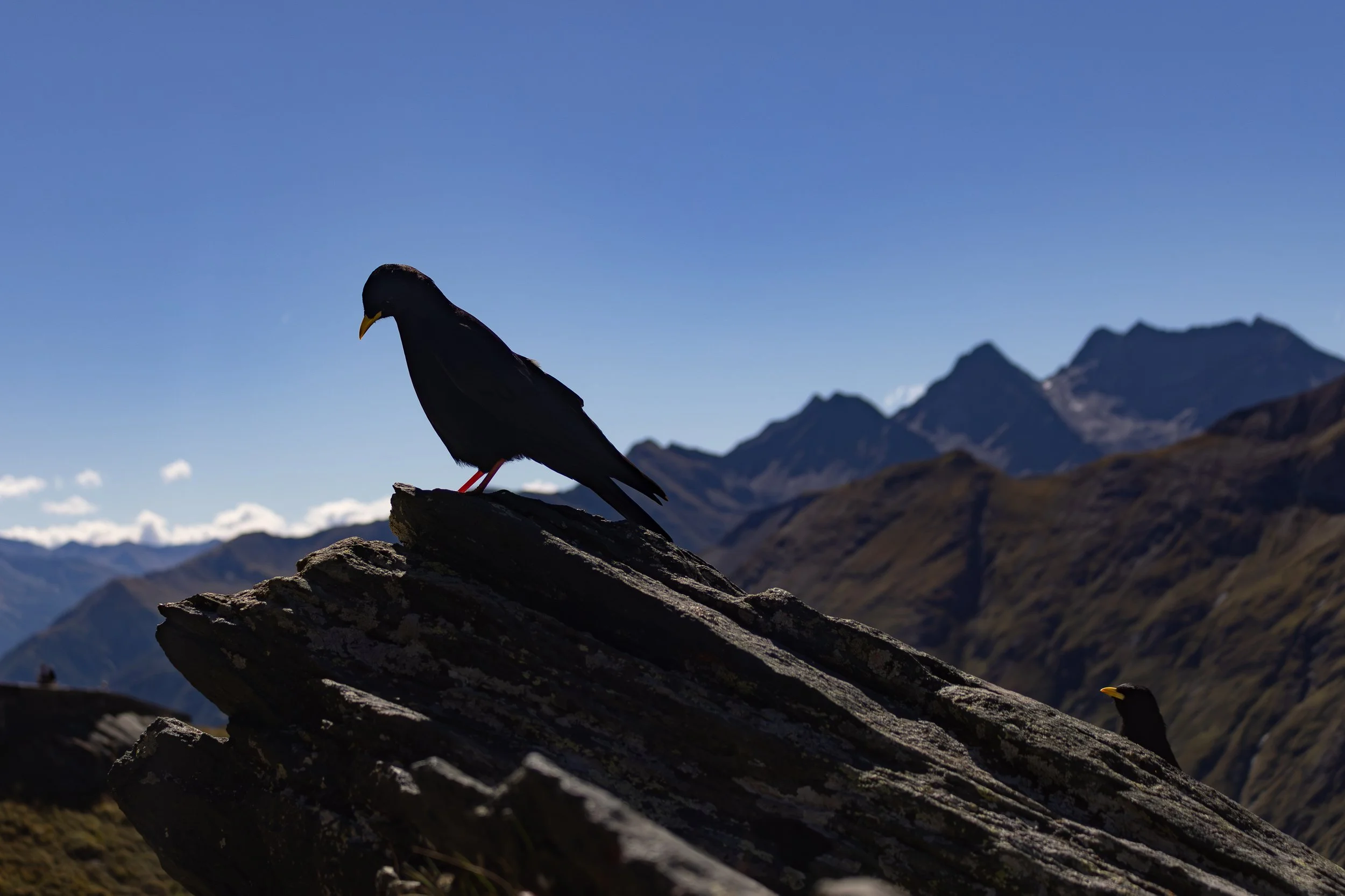 Dolomiten 2026