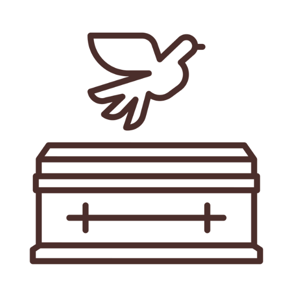 Outline illustration of a bird flying above a box, demonstrating the act of releasing a bird.