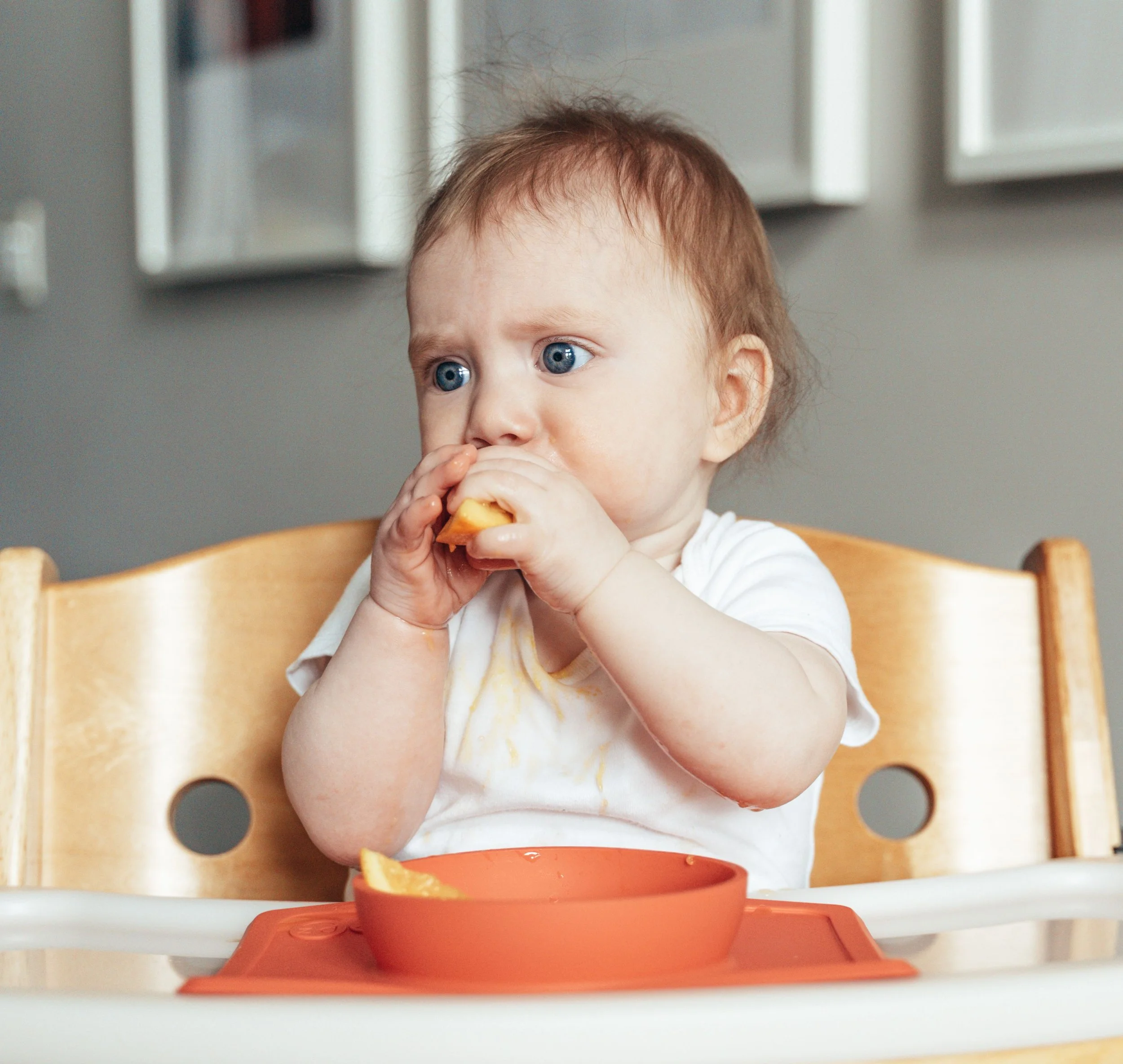 A young baby eating a slice of orange. His parents attended the "How to Introduce Solids" class