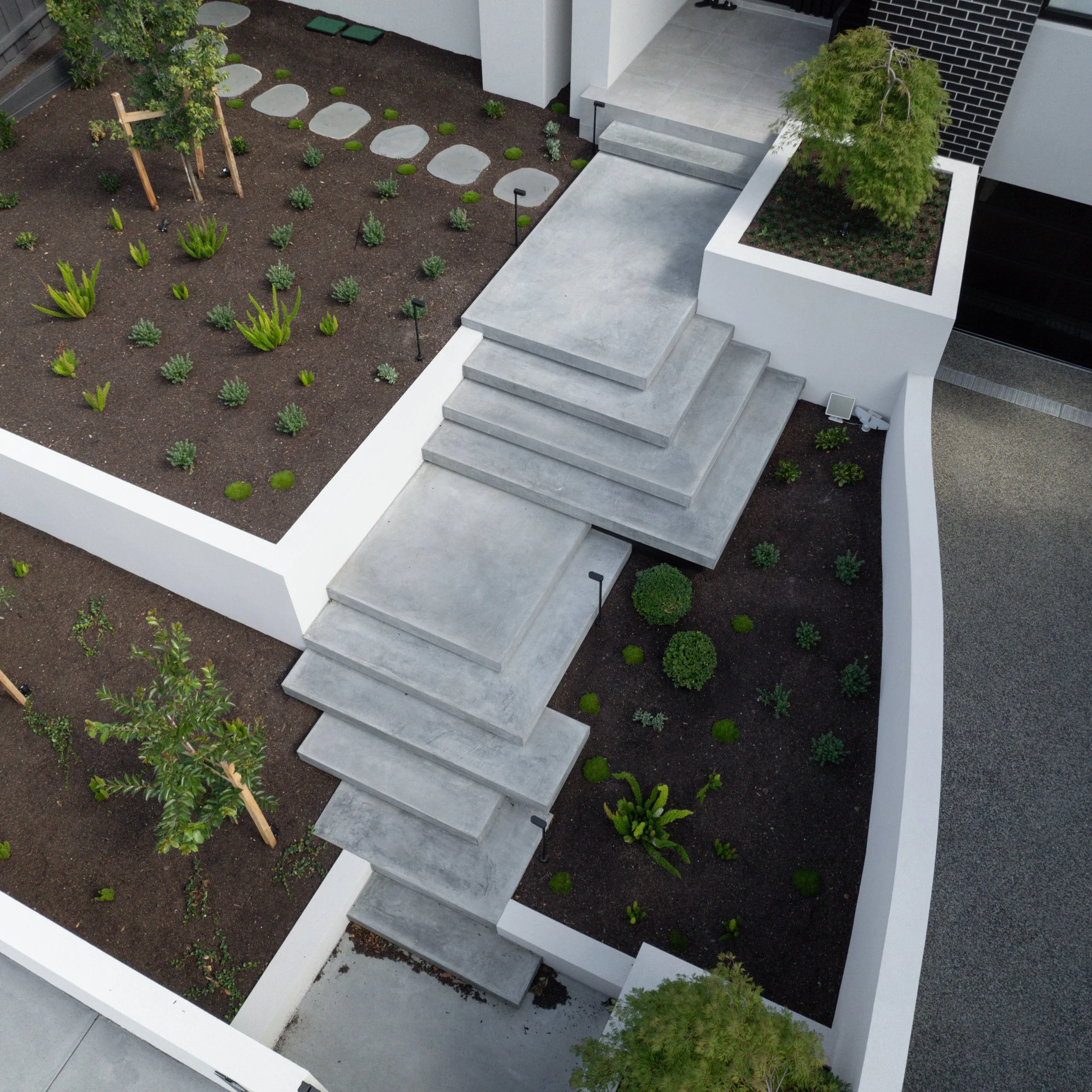 A modern house entrance with concrete stairs, a concrete walkway, a black door, and a small garden area with shrubs, a young tree supported by stakes, and other plants, separated by white walls and black brick accents.