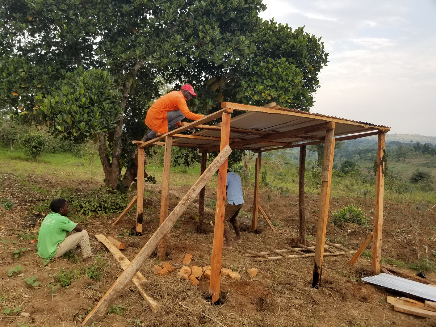 Three people constructing a small wooden shed outdoors in a rural area with green fields and trees in the background. One person is working on top of the shed, while another is inside, and a third is sitting nearby watching.